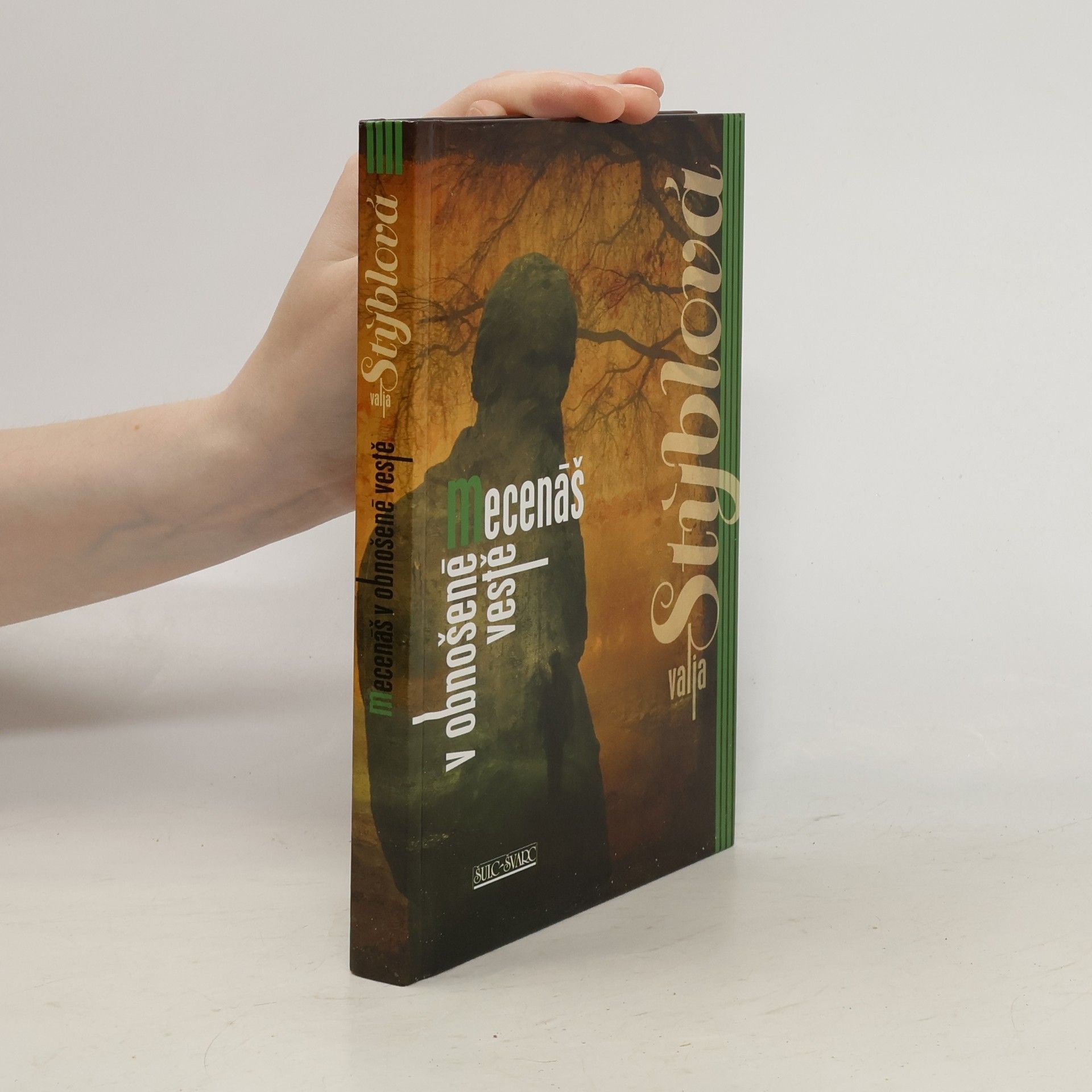 Valja Stýblová Mecenáš v obnošené vestě