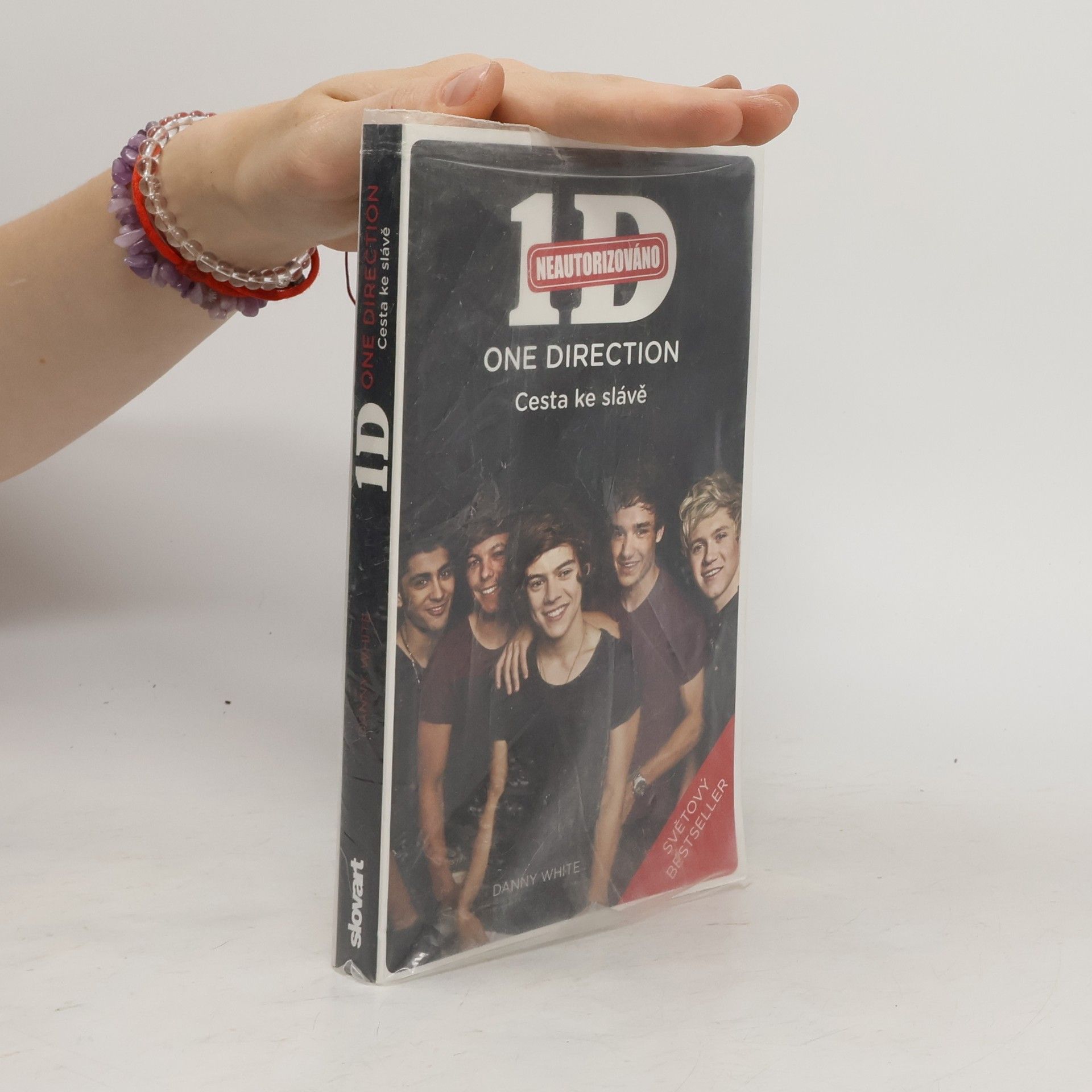 1D - One Direction: Cesta ke slávě