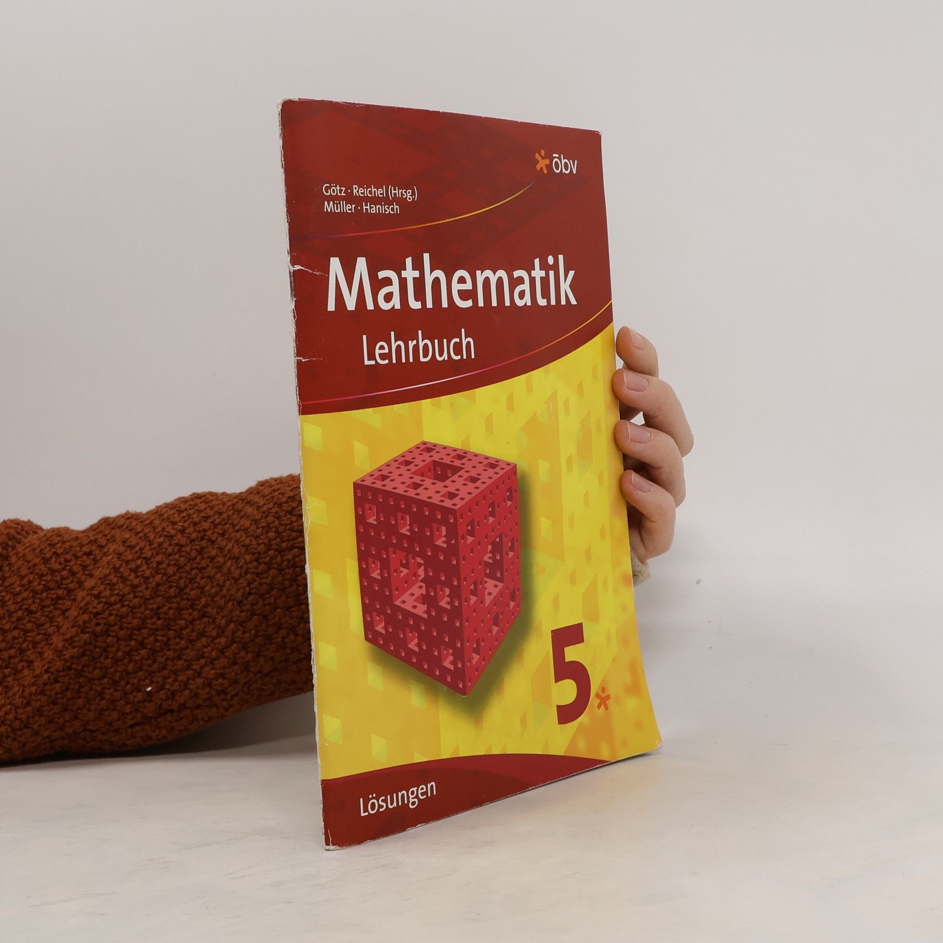 AA.VV. Mathematik 5. Lehrbuch. Lösungen
