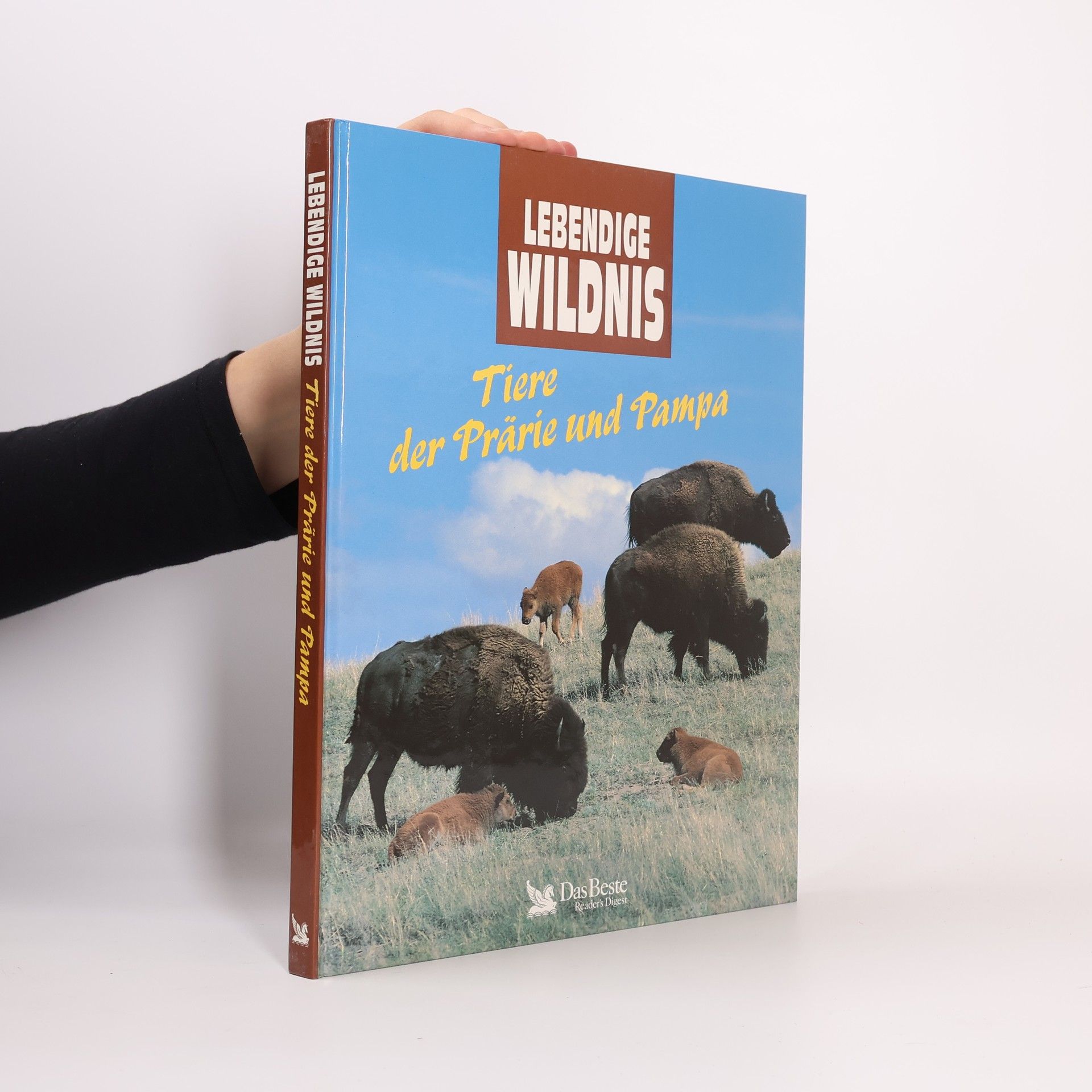 Autorenkollektiv Lebendige Wildnis : Tiere der Prärie und Pampa