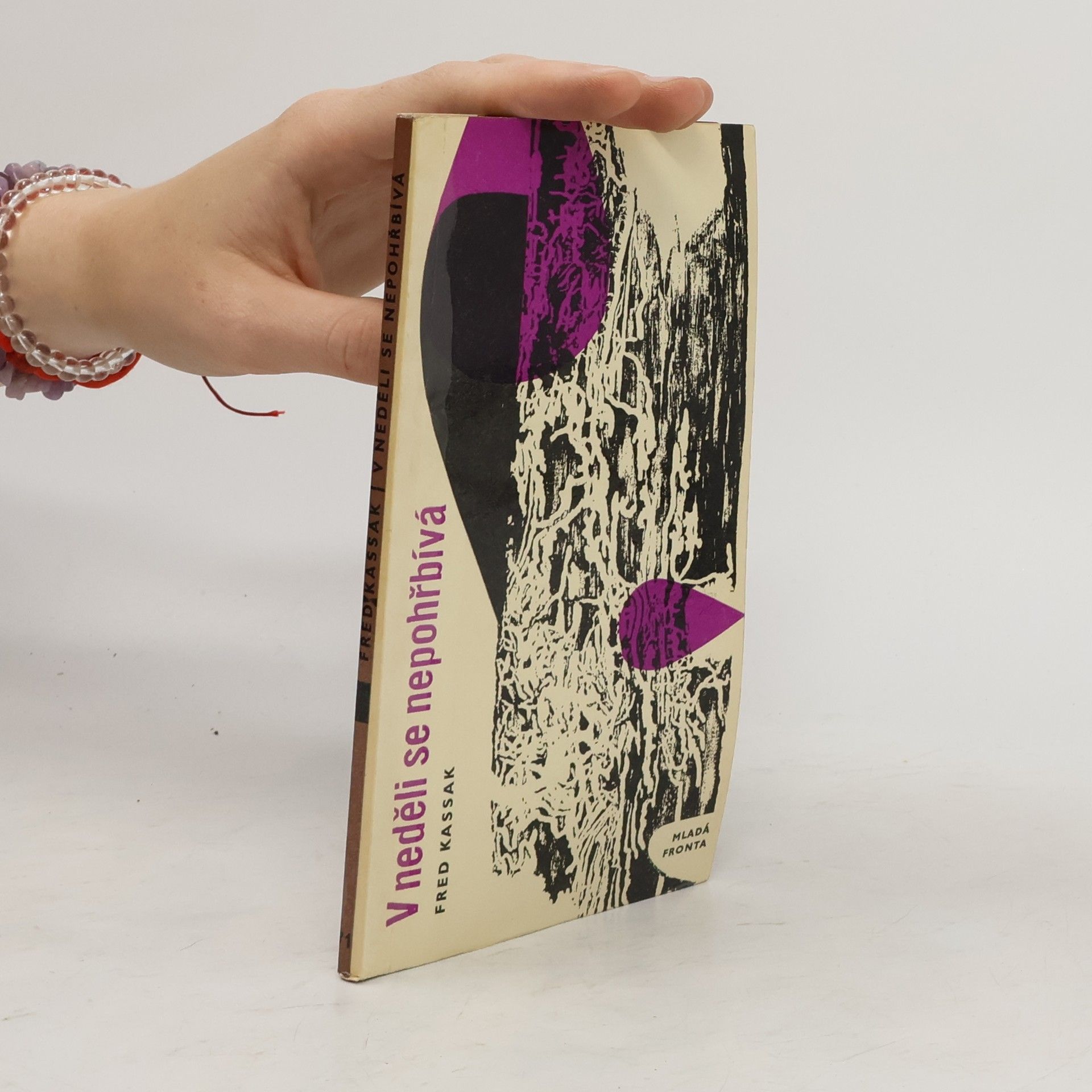 Eva Zaoralová V neděli se nepohřbívá