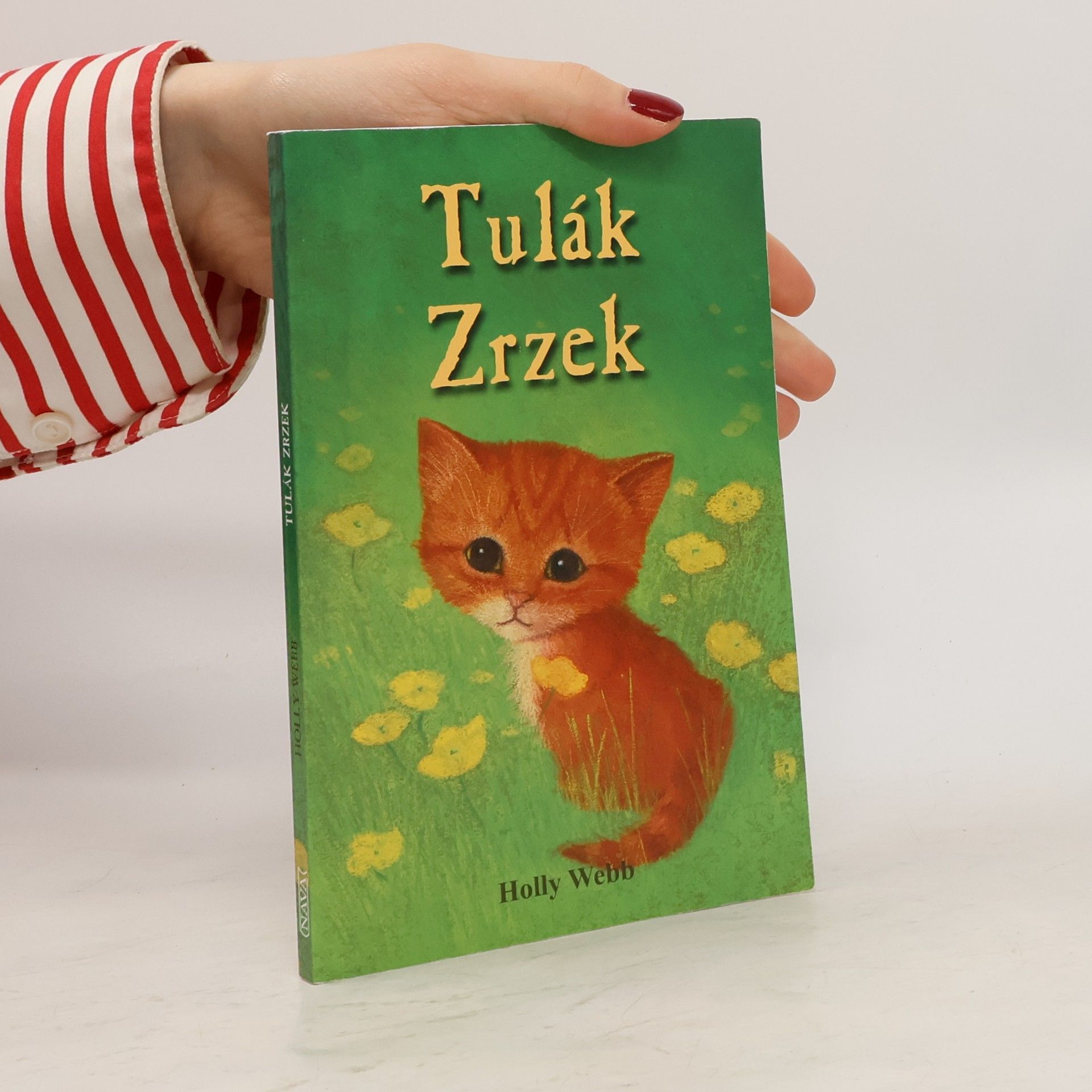 Holly Webb Tulák Zrzek