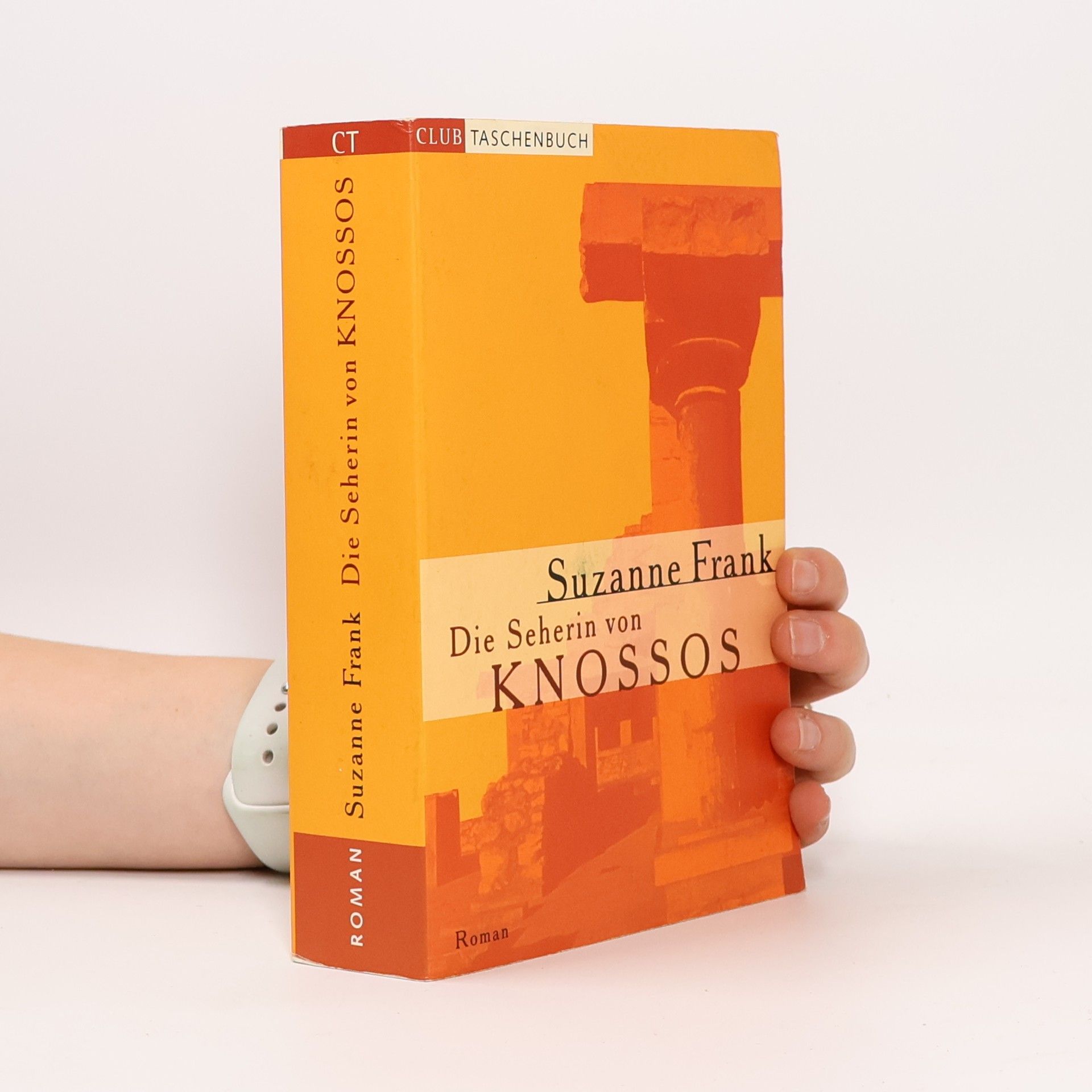 Suzanne Frank Die Hüterin von Jericho