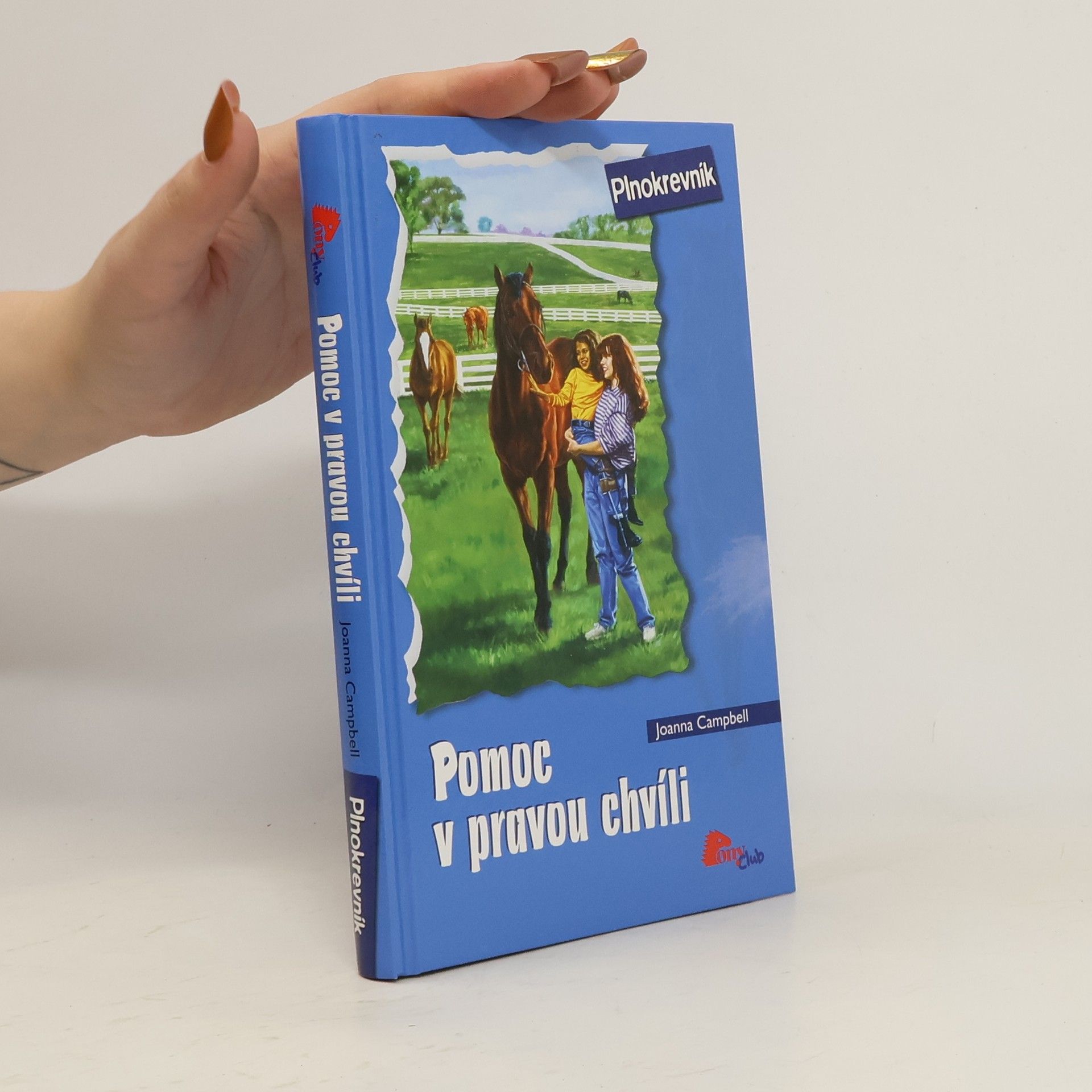 Jo Ann Simon Pomoc v pravou chvíli