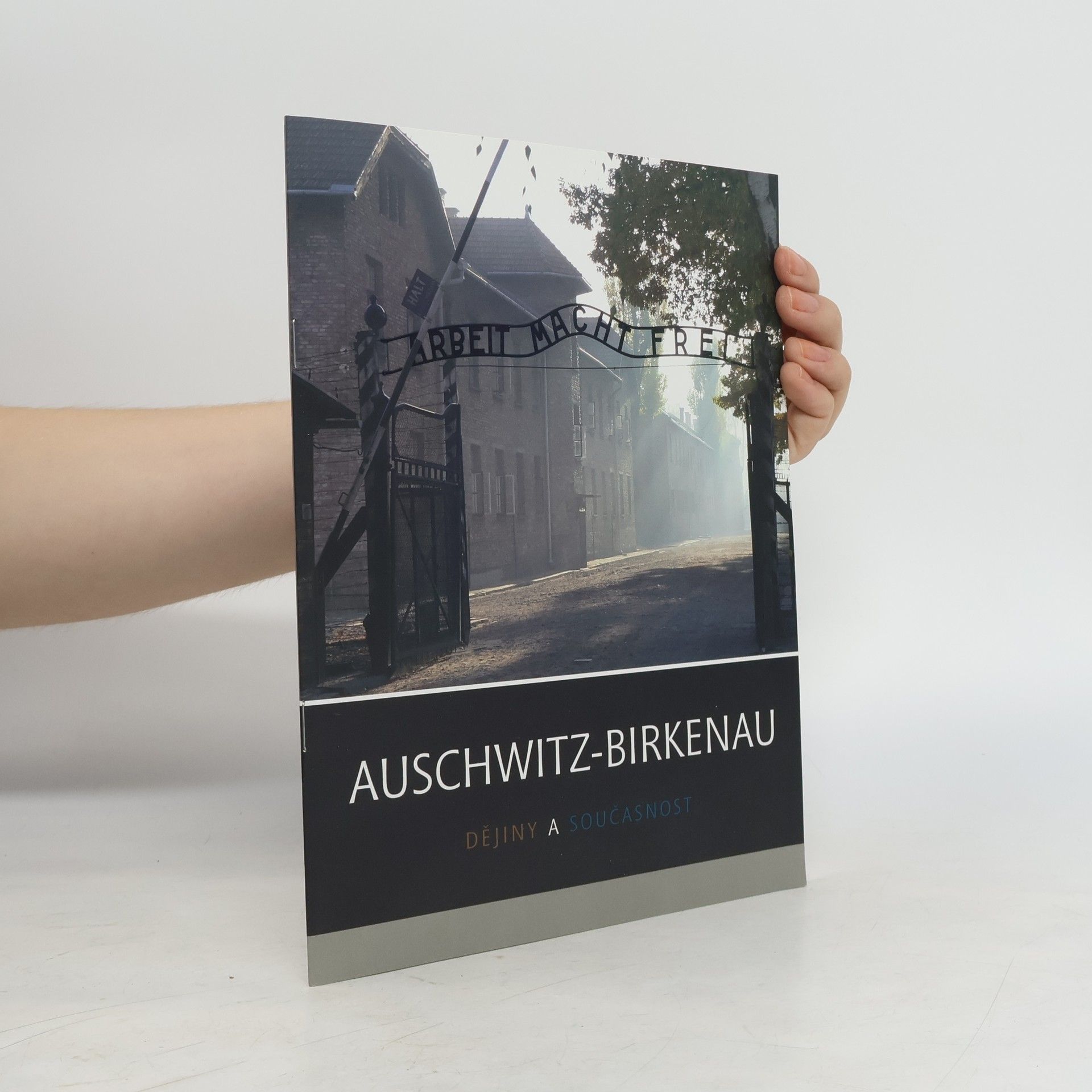 Collectif d'auteurs Auschwitz-Birkenau : dějiny a současnost