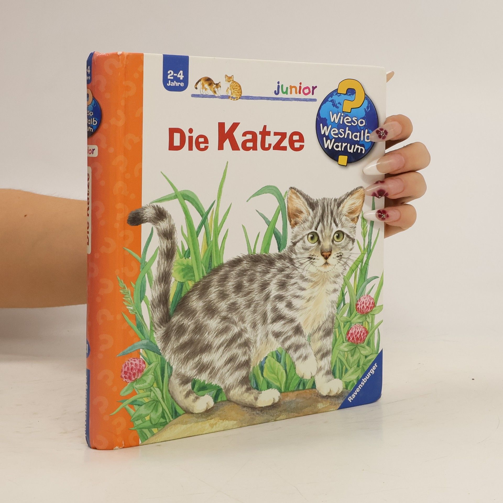 Ursula Weller Die Katze