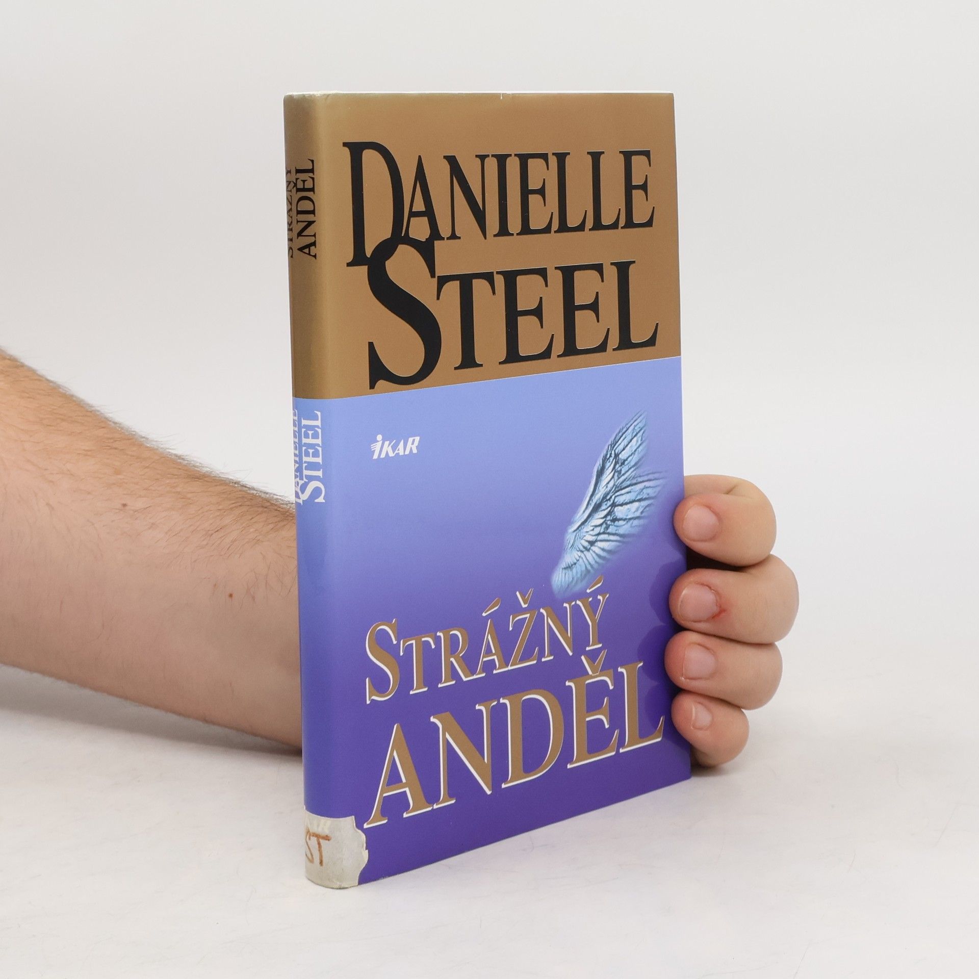 Danielle Steel Strážný anděl