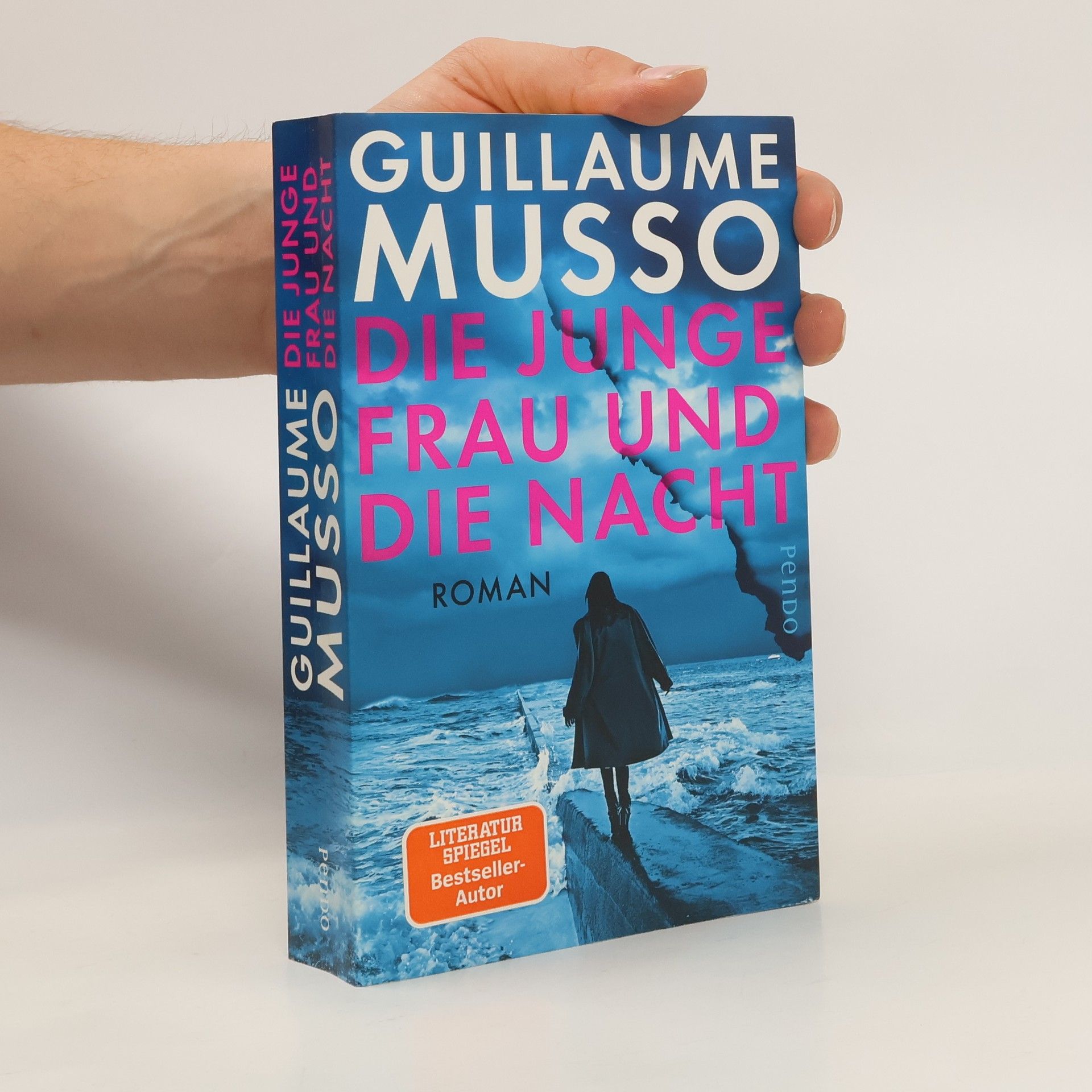 Guillaume Musso Die junge Frau und die Nacht