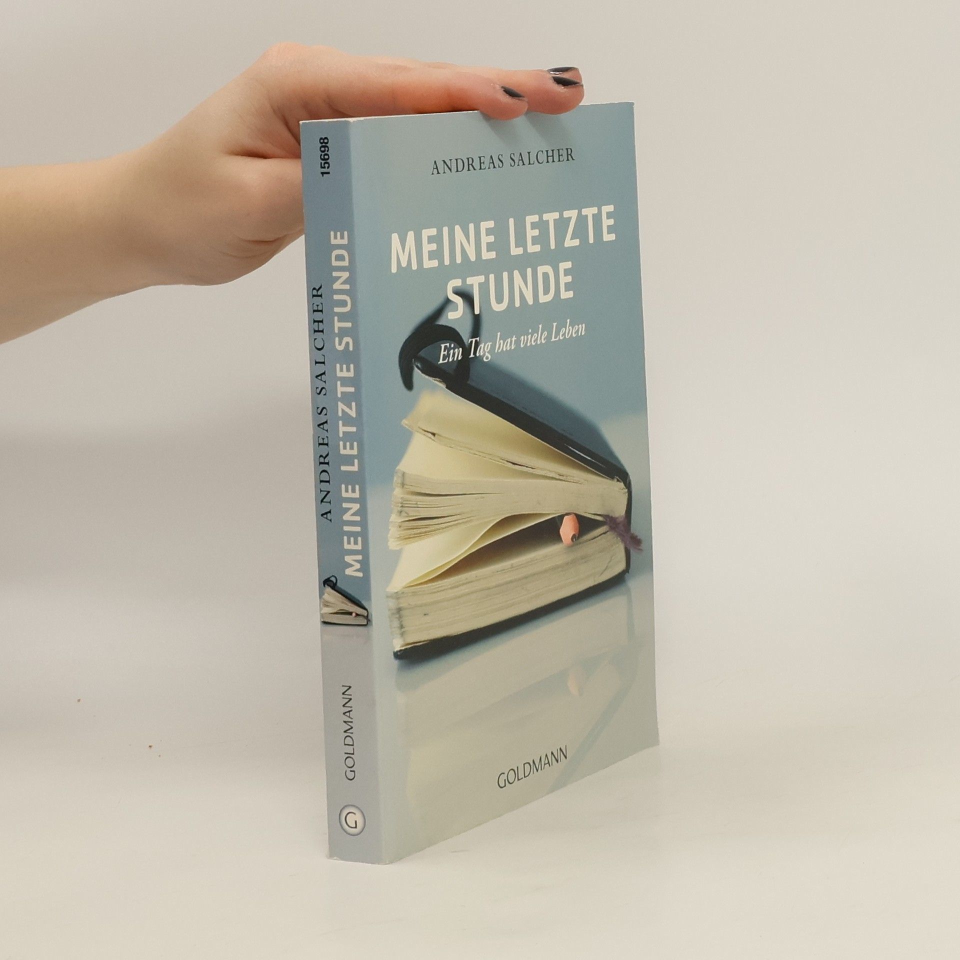 Andreas Salcher Meine letzte Stunde