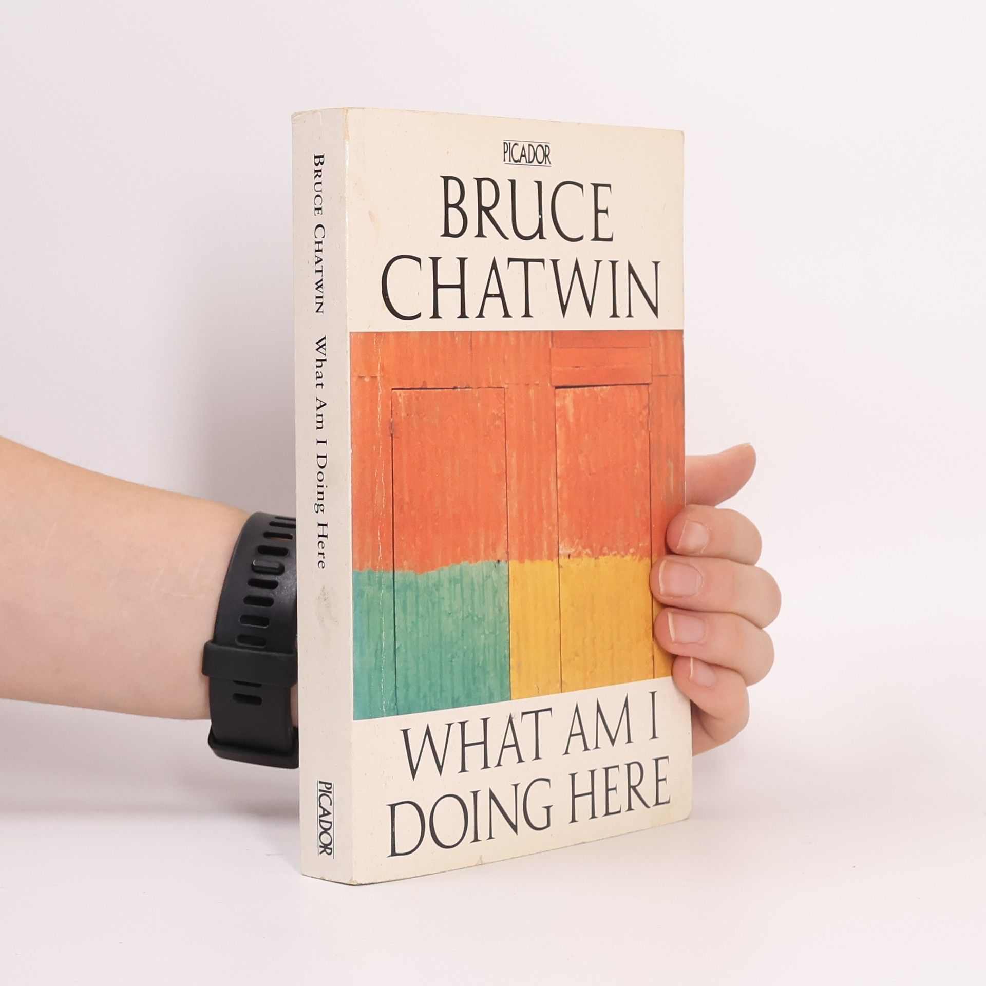 Bruce Chatwin What am I doing here