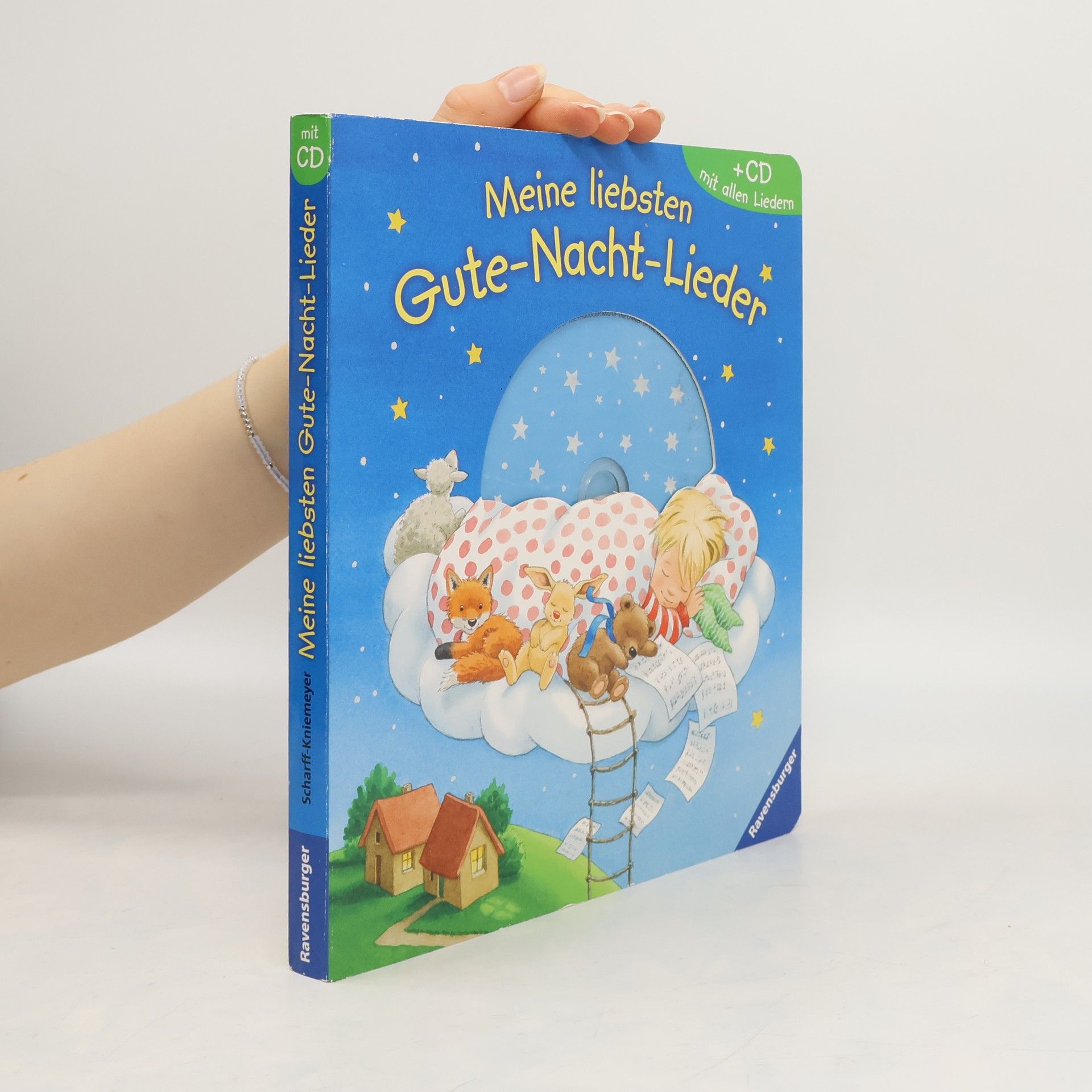Kolektiv autorů Meine liebsten Gute-Nacht-Lieder