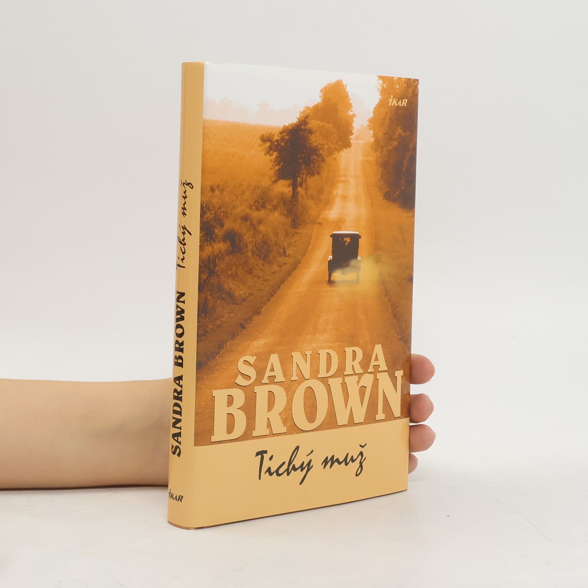 Sandra Brown Tichý muž