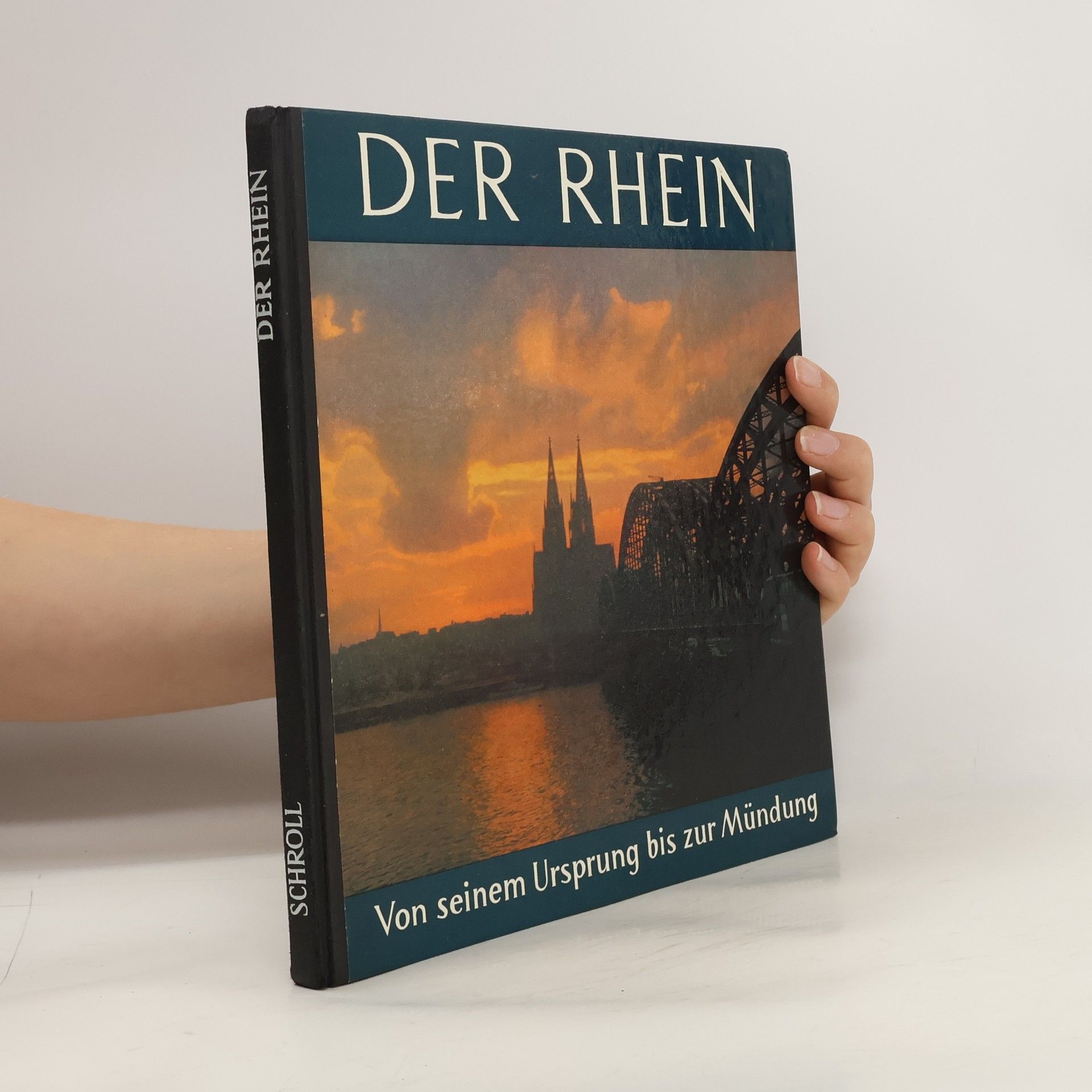 Autorenkollektiv Der Rhein. Von seinem Ursprung bis zur Mündung
