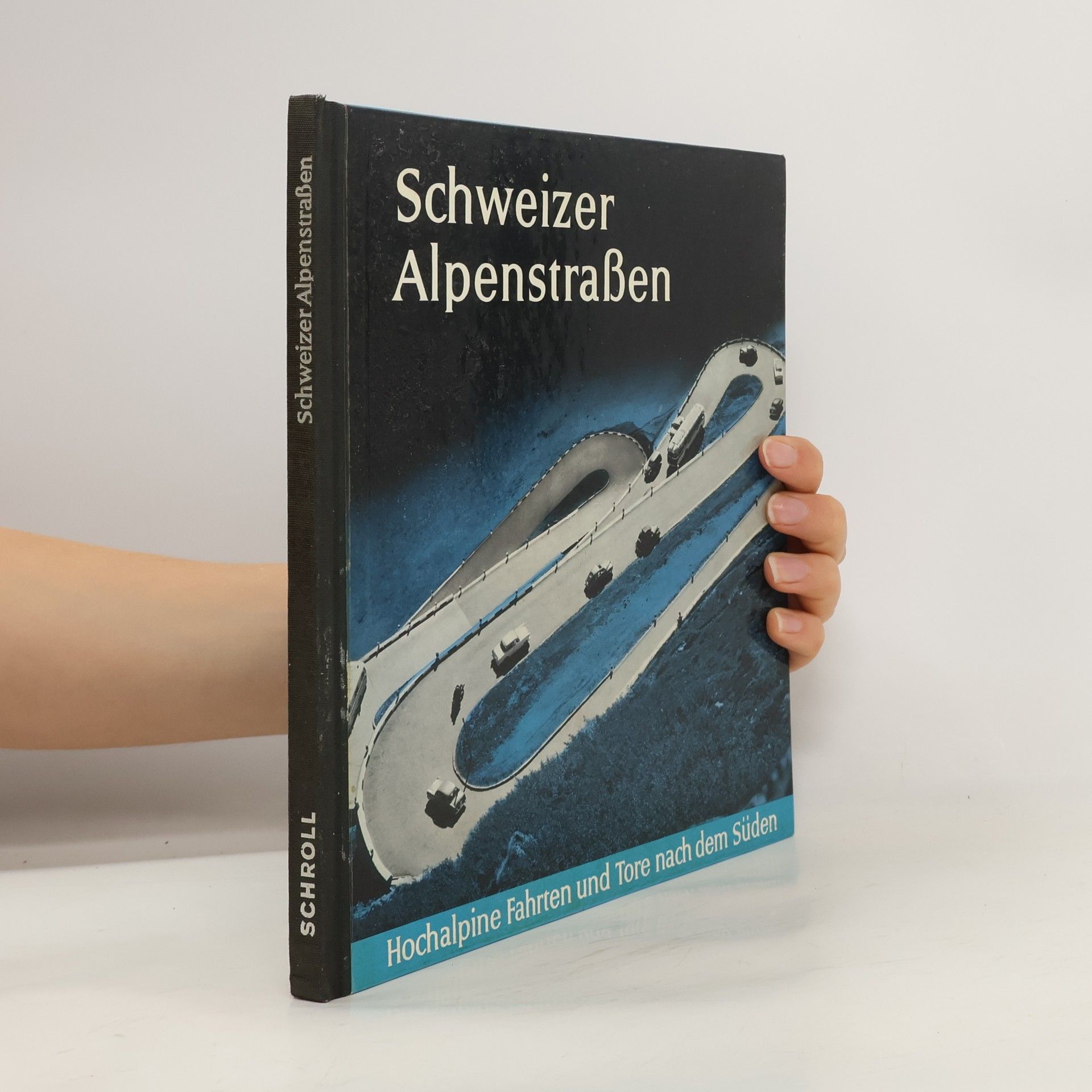 Collectif d'auteurs Schweizer Alpenstrassen