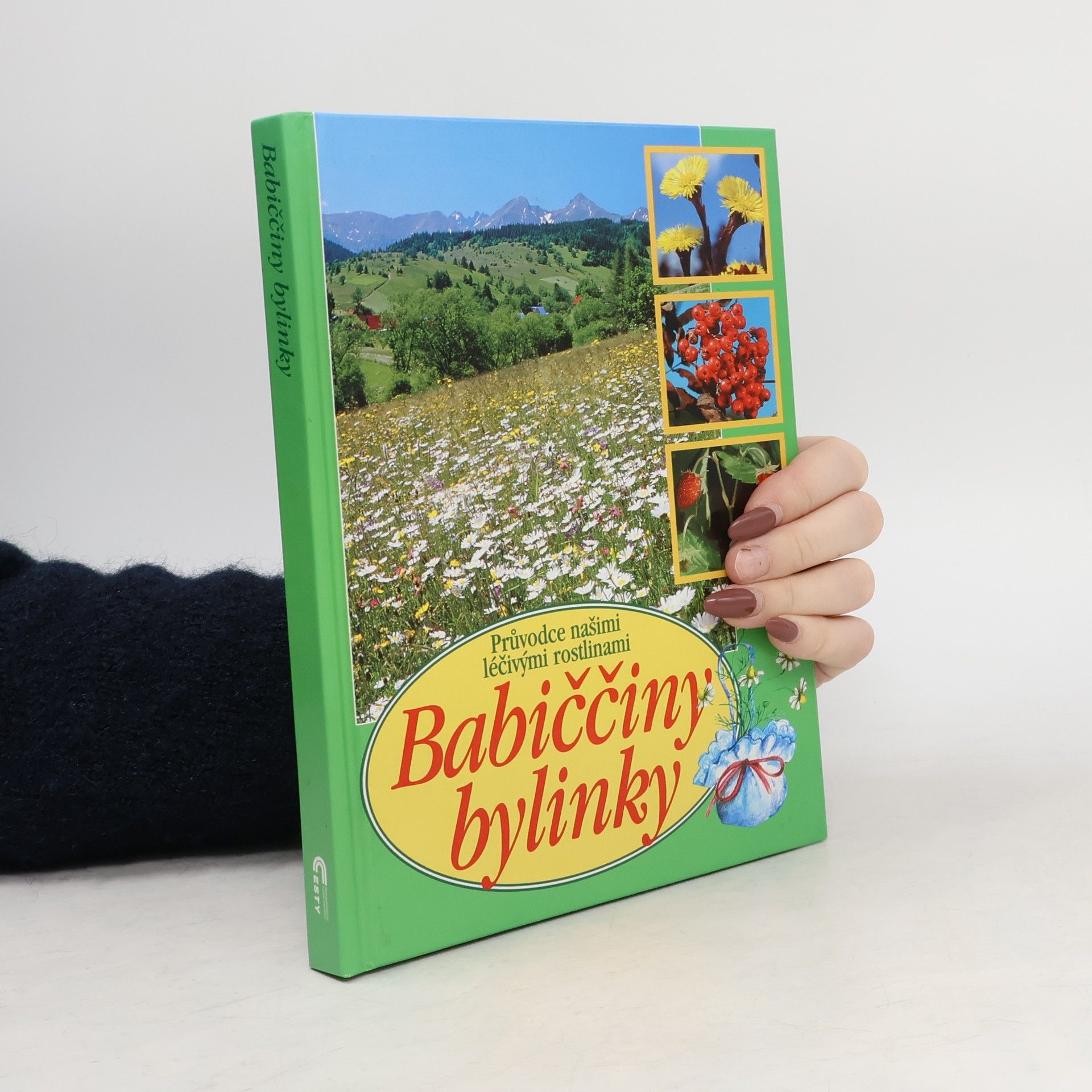 Babiččiny bylinky: Průvodce našimi léčivými rostlinami