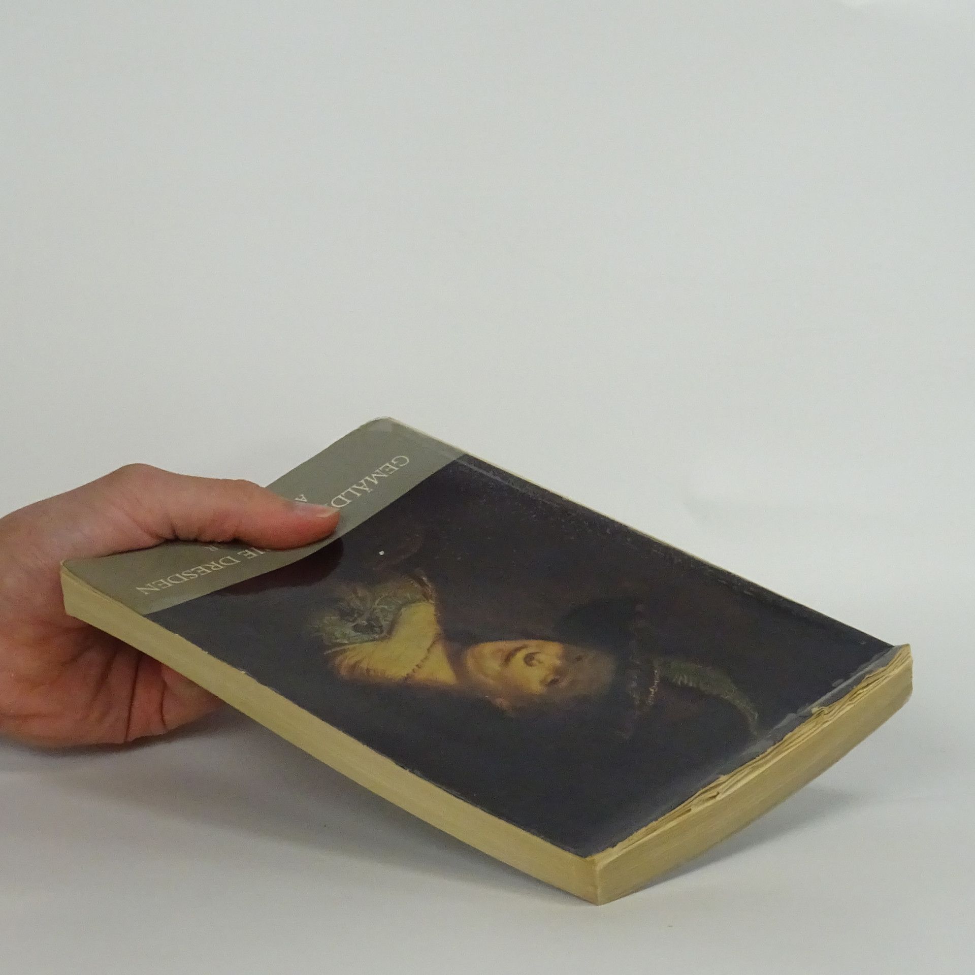 Autorenkollektiv Gemäldegalerie Dresden: Alte Meister