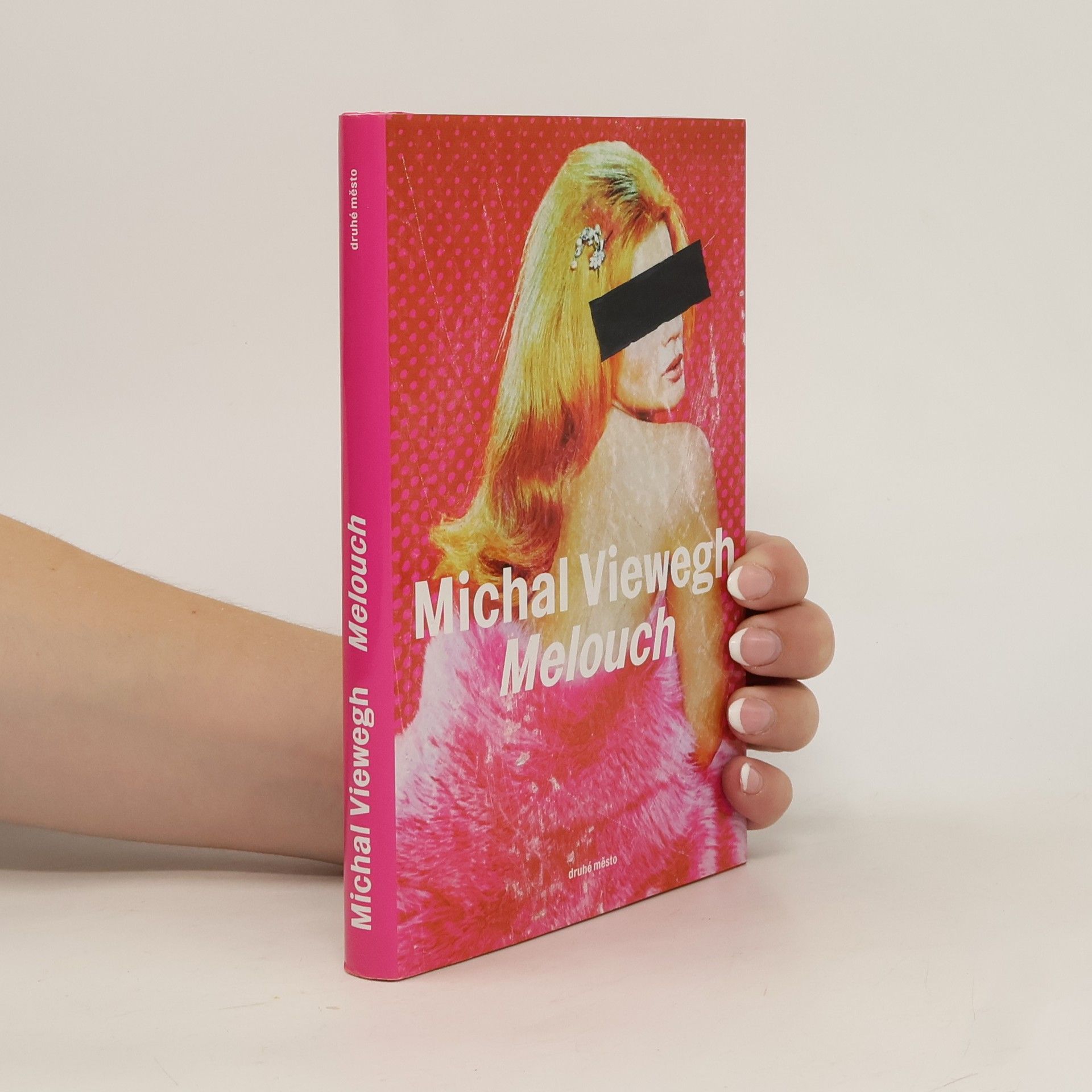 Michal Viewegh Melouch