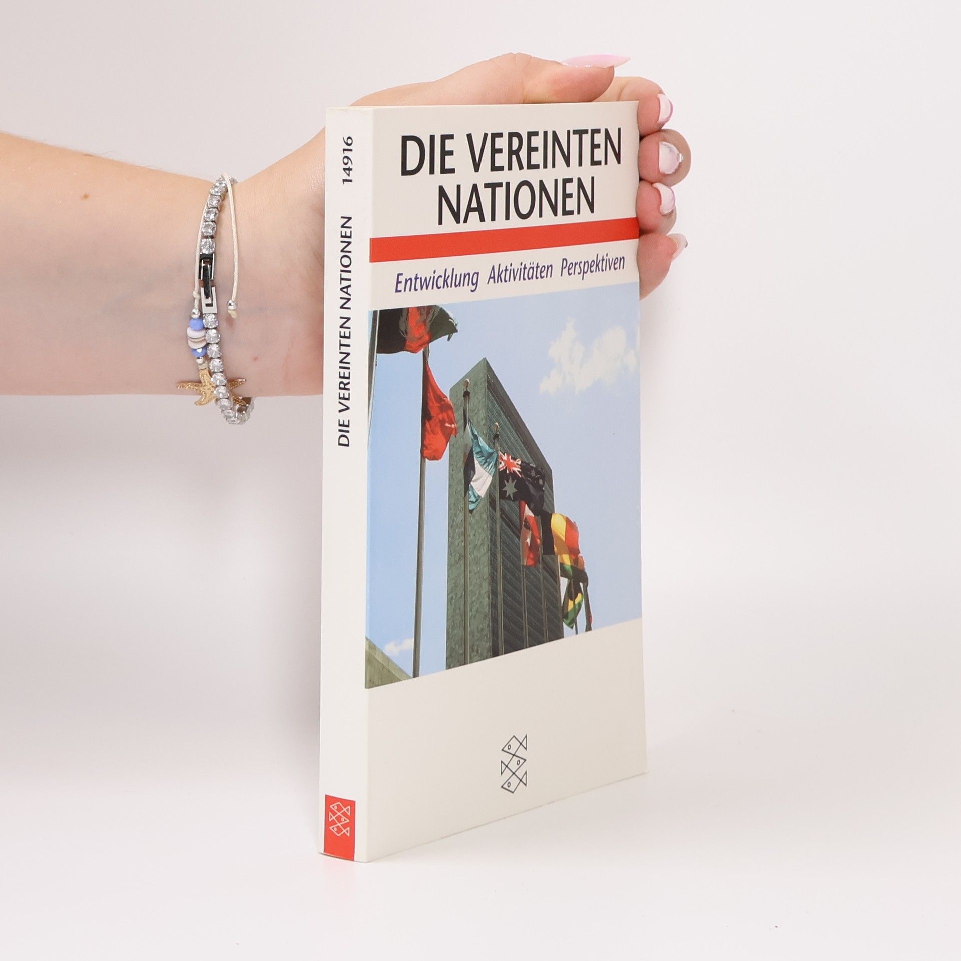 Die Vereinten Nationen