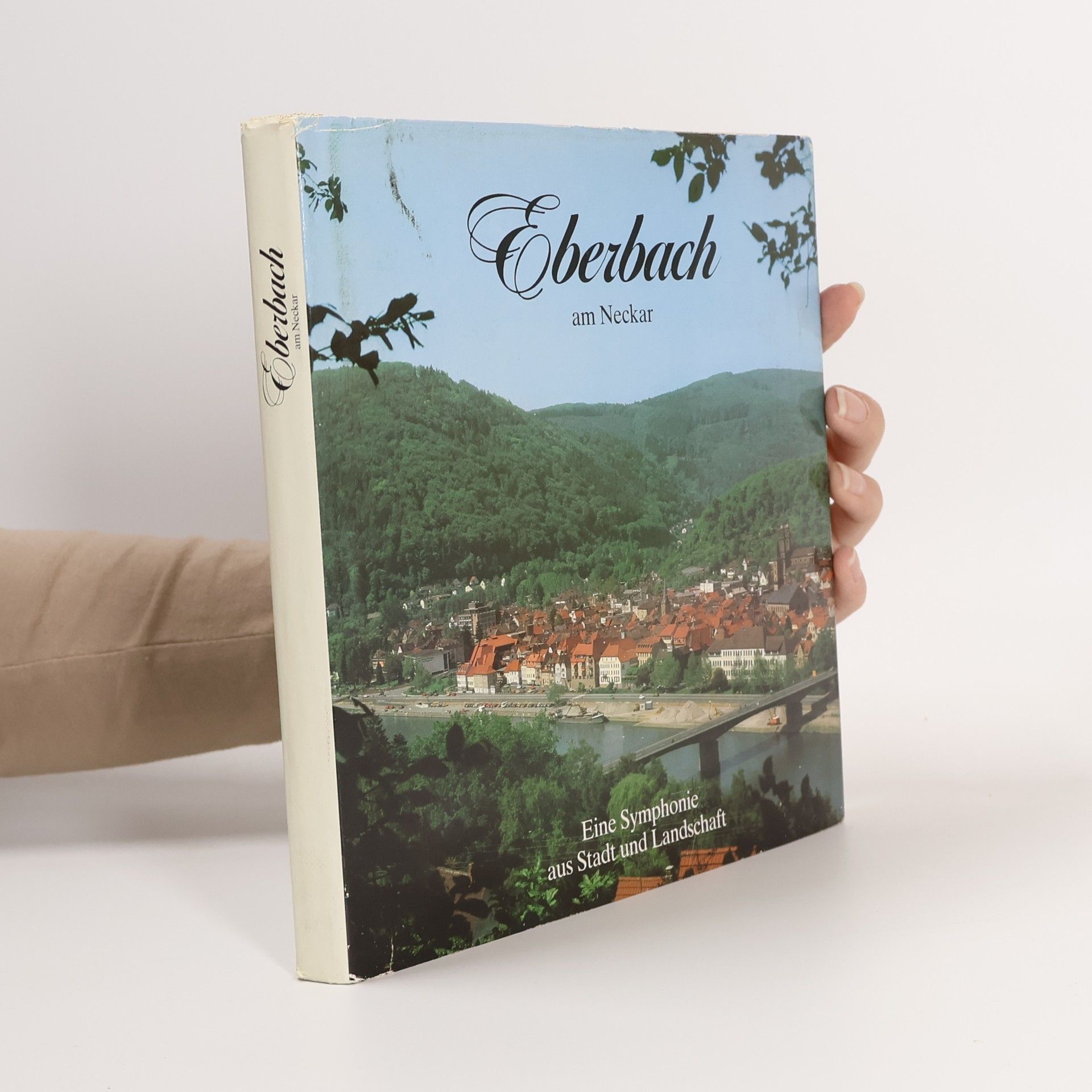 Collectif d'auteurs Eberbach am Neckar