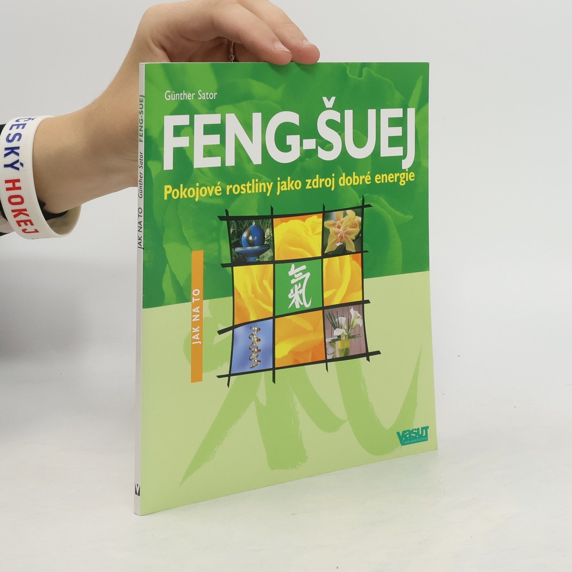 Günther Sator Feng-šuej : pokojové rostliny jako zdroj dobré energie