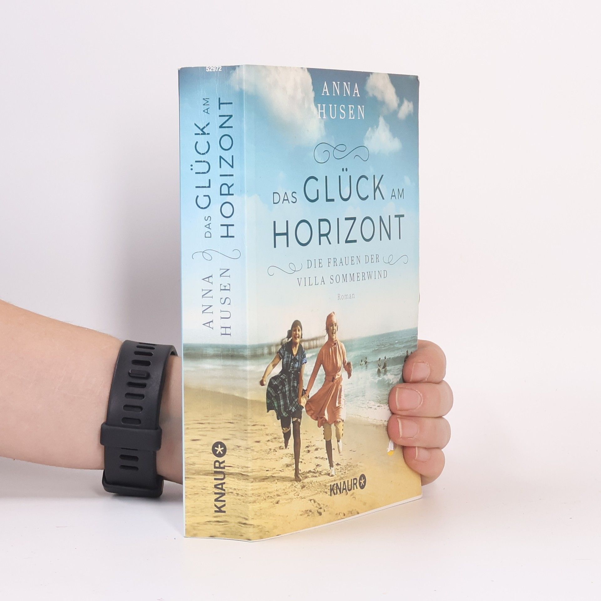 Die Frauen der Villa Sommerwind - das Glück am Horizont