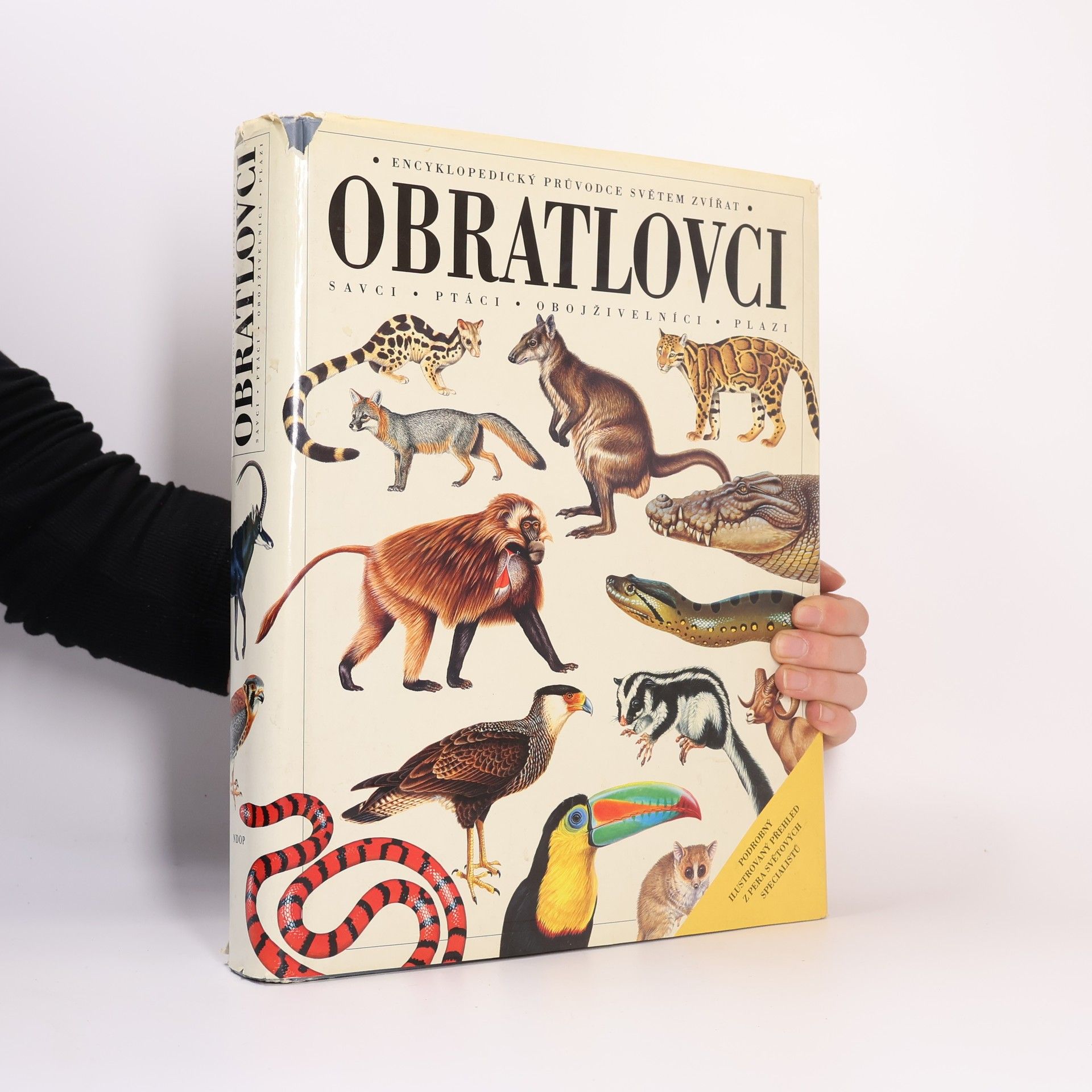 Harold G. Cogger Obratlovci : savci, ptáci, obojživelníci, plazi : encyklopedický průvodce světem zvířat