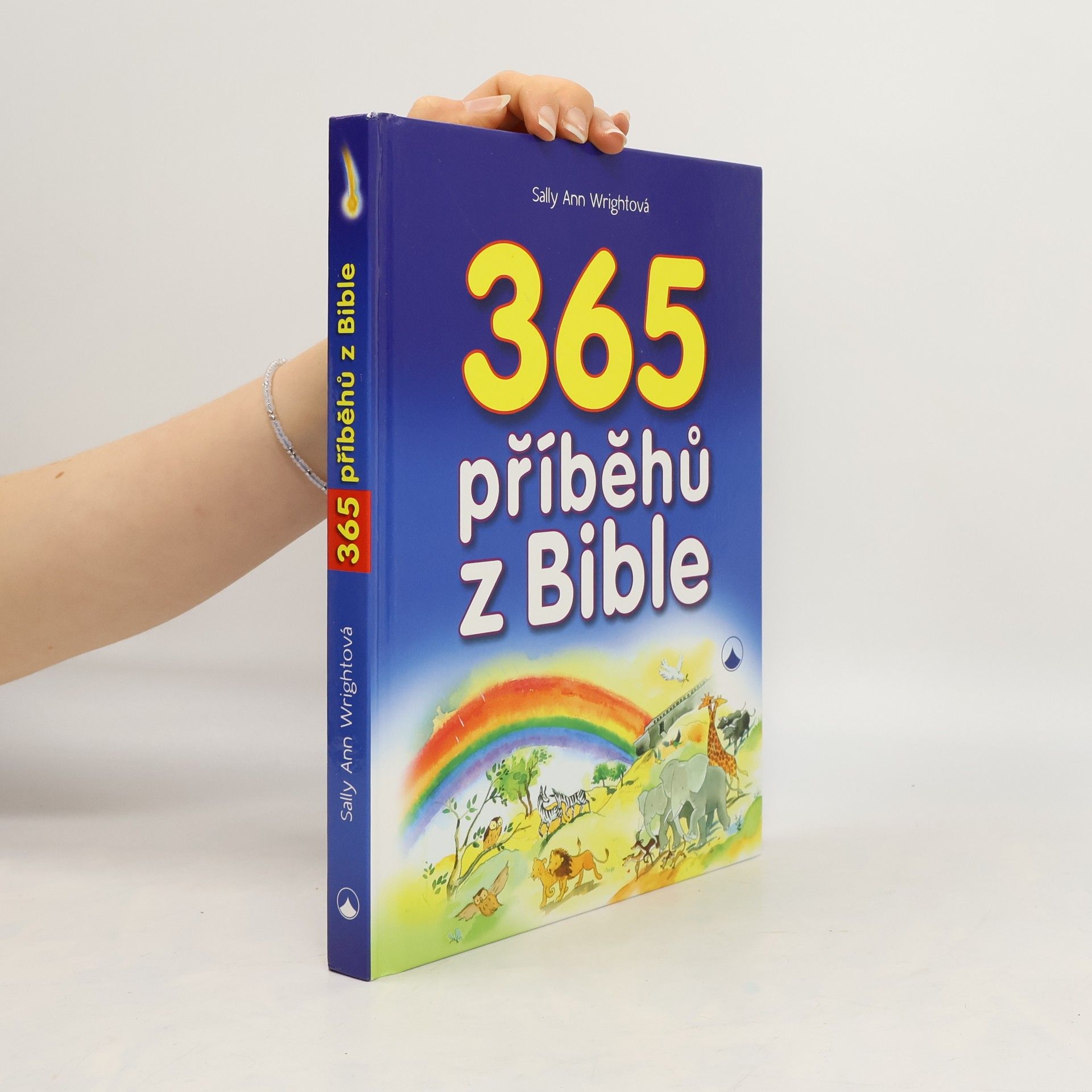 Sally Ann Wright 365 příběhů z Bible