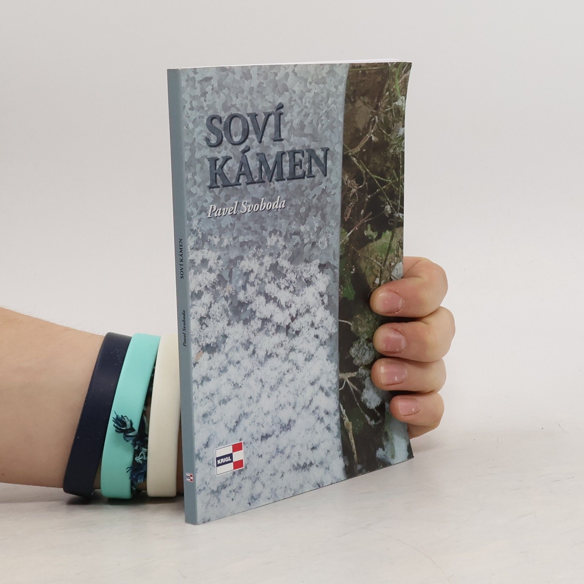 Pavel Svoboda Soví kámen