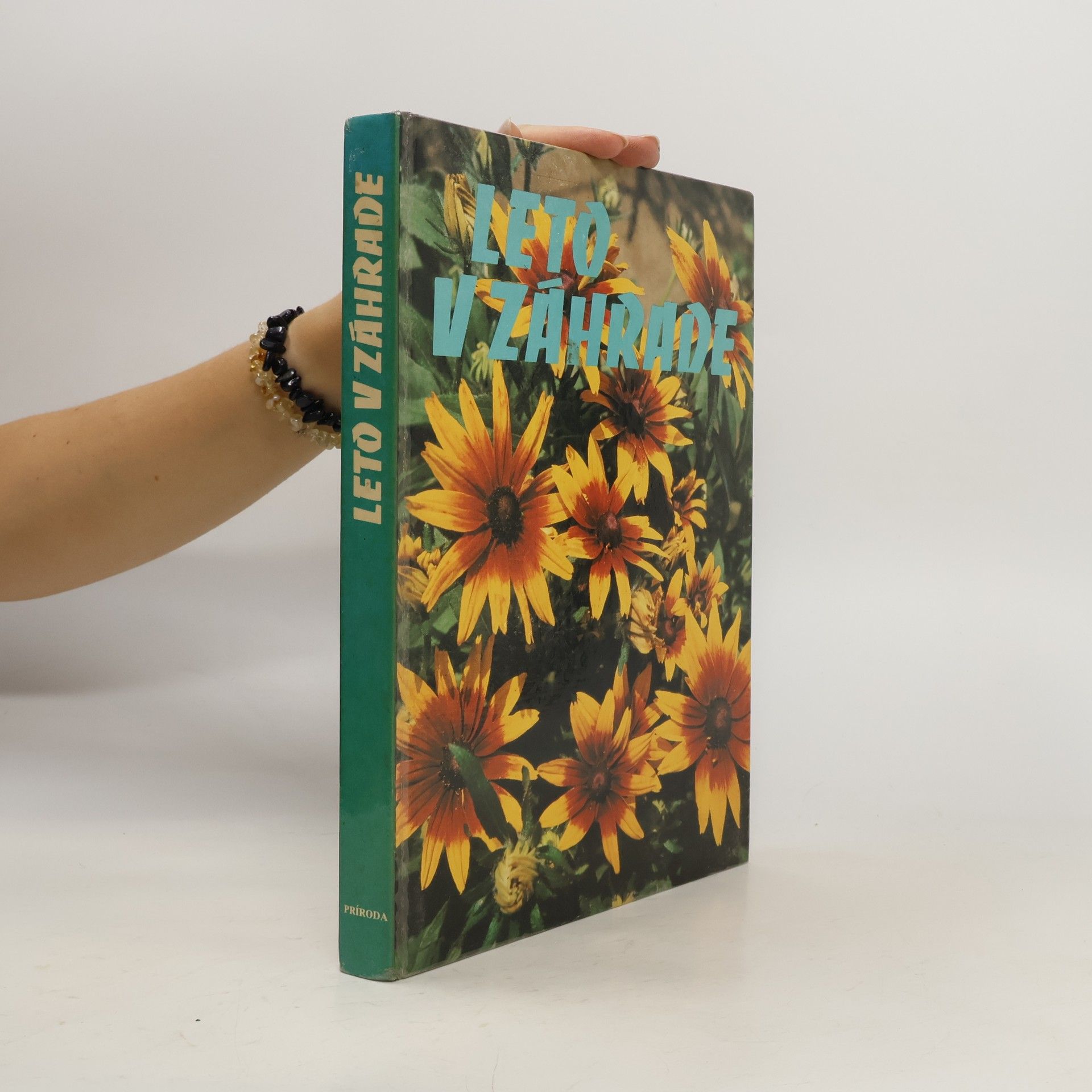 Collectif d'auteurs Leto v záhrade