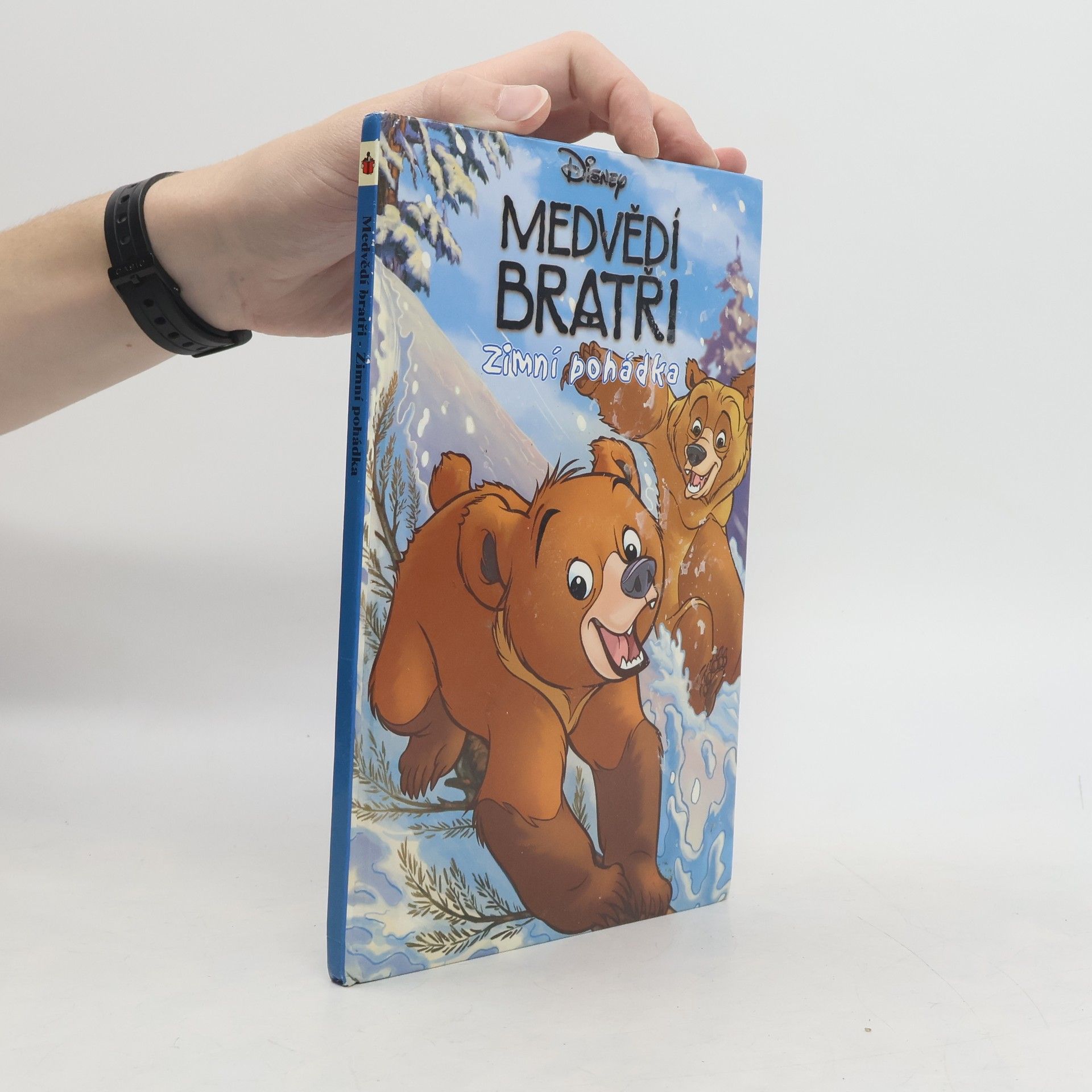 Walt Disney Medvědí bratři. Zimní pohádka