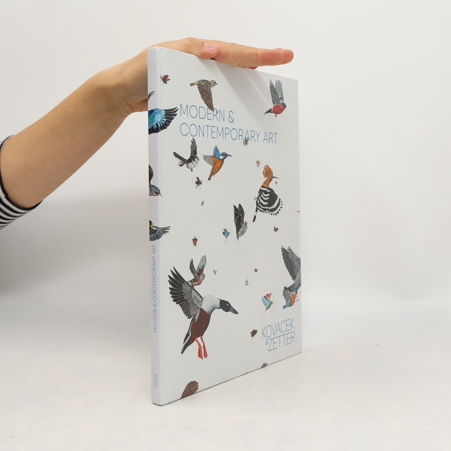 Modern & Contemporary Art