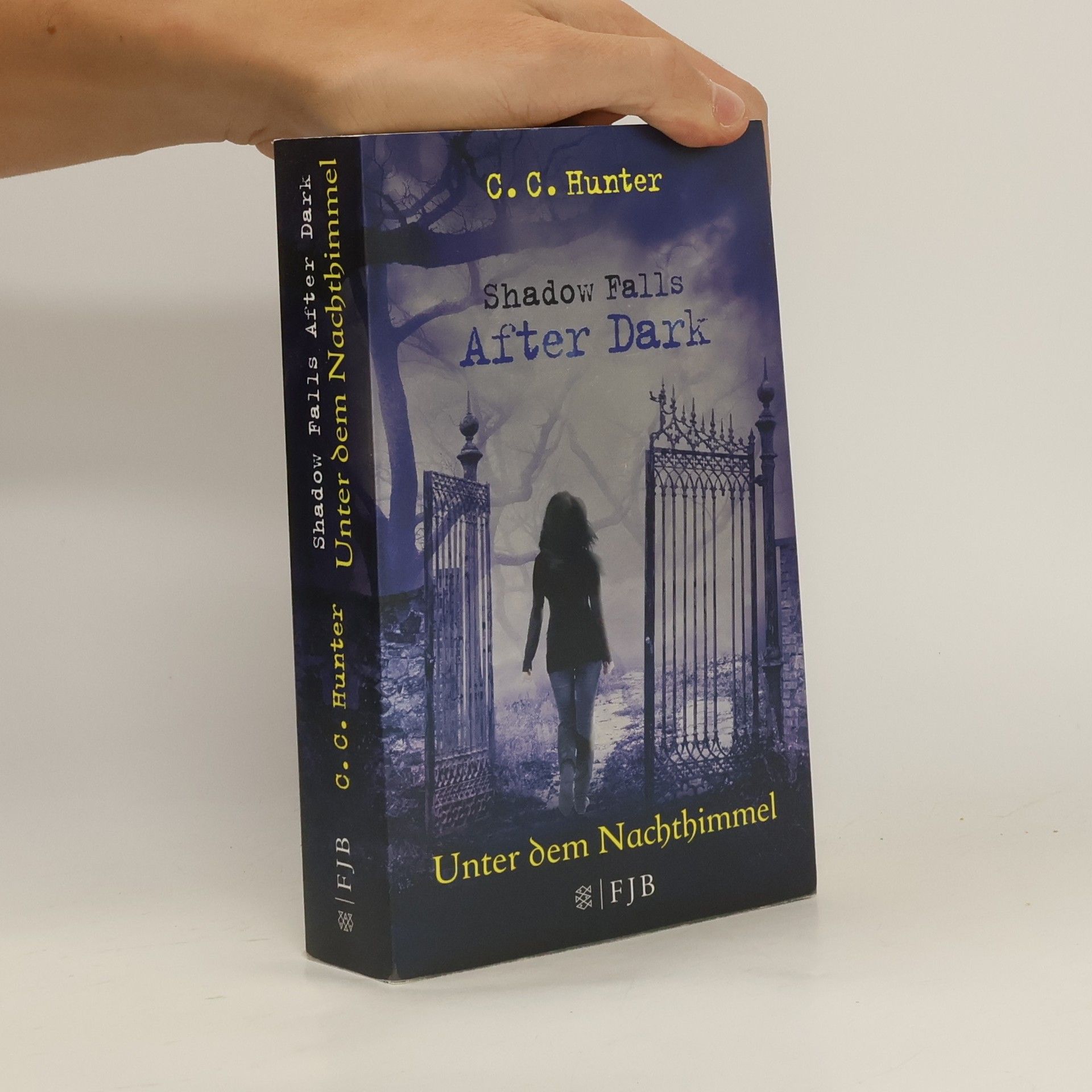 C.C. Hunter Unter dem Nachthimmel