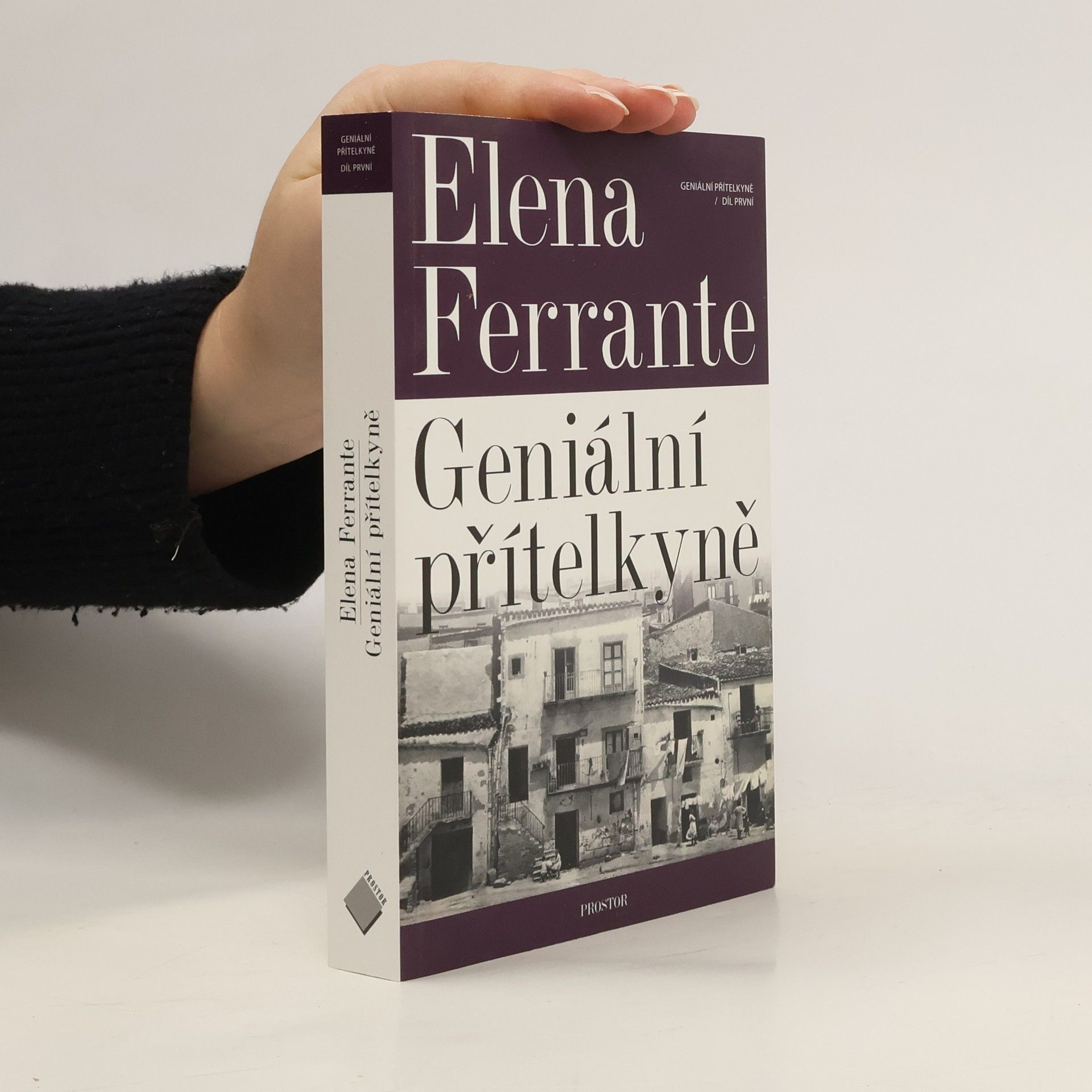 Elena Ferrante Geniální přítelkyně 1. Dětství a dospívání