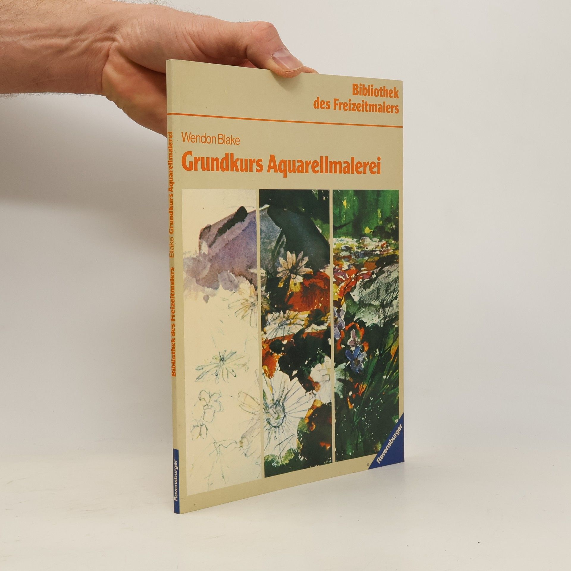 Grundkurs Aquarell