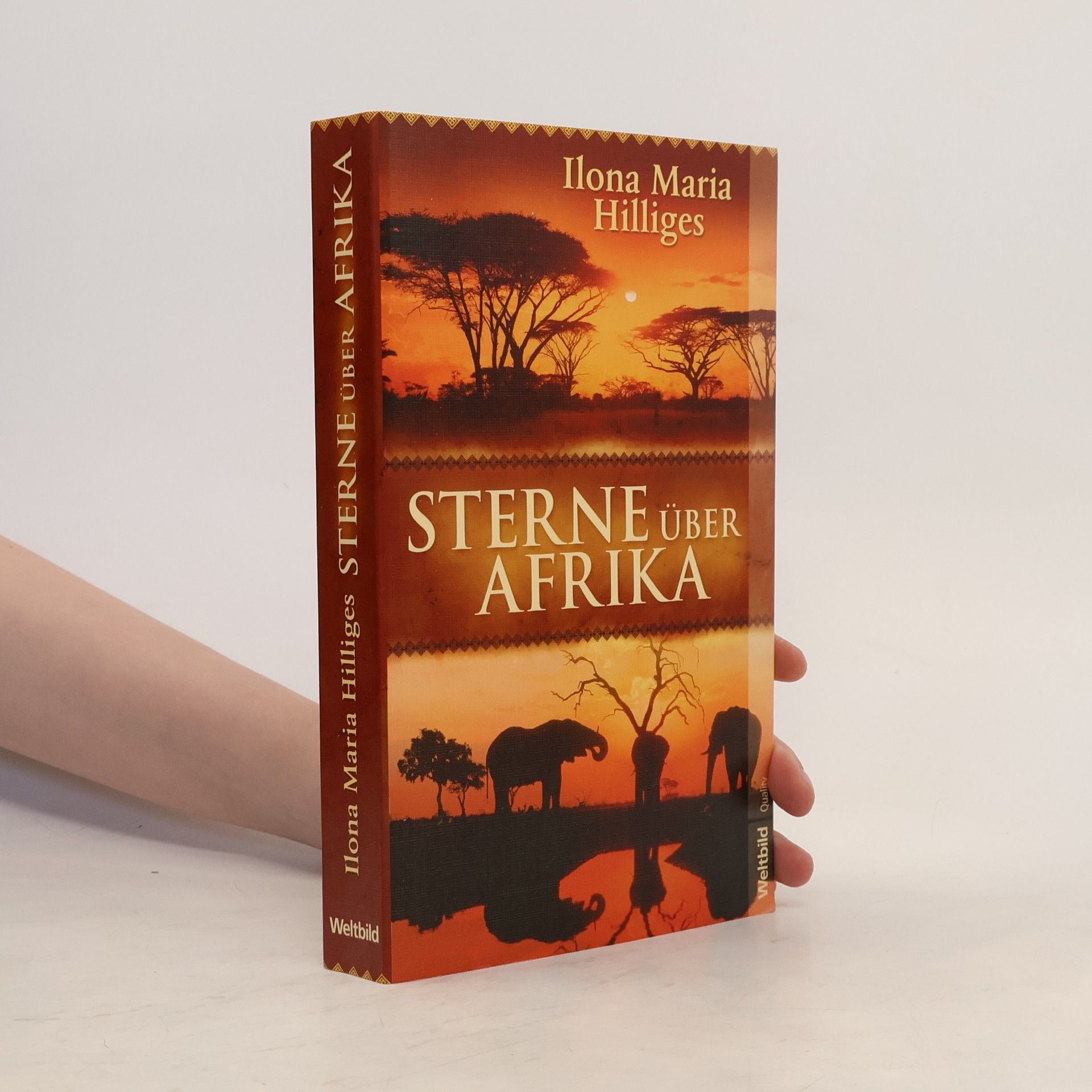 Ilona Maria Hilliges Sterne über Afrika