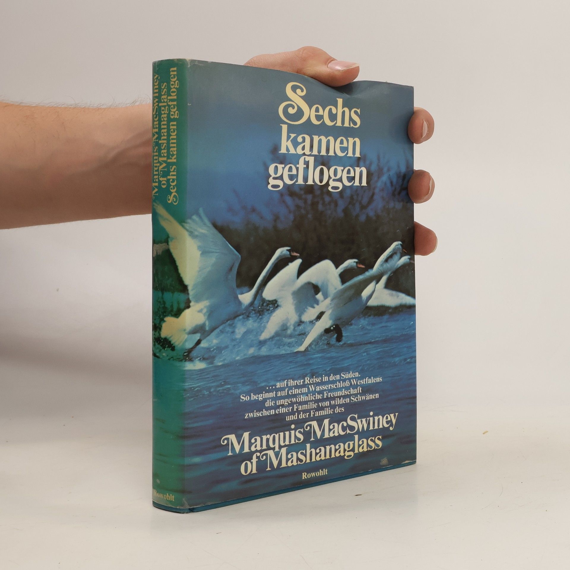 Owen MacSwiney of Mashanaglass Sechs kamen geflogen