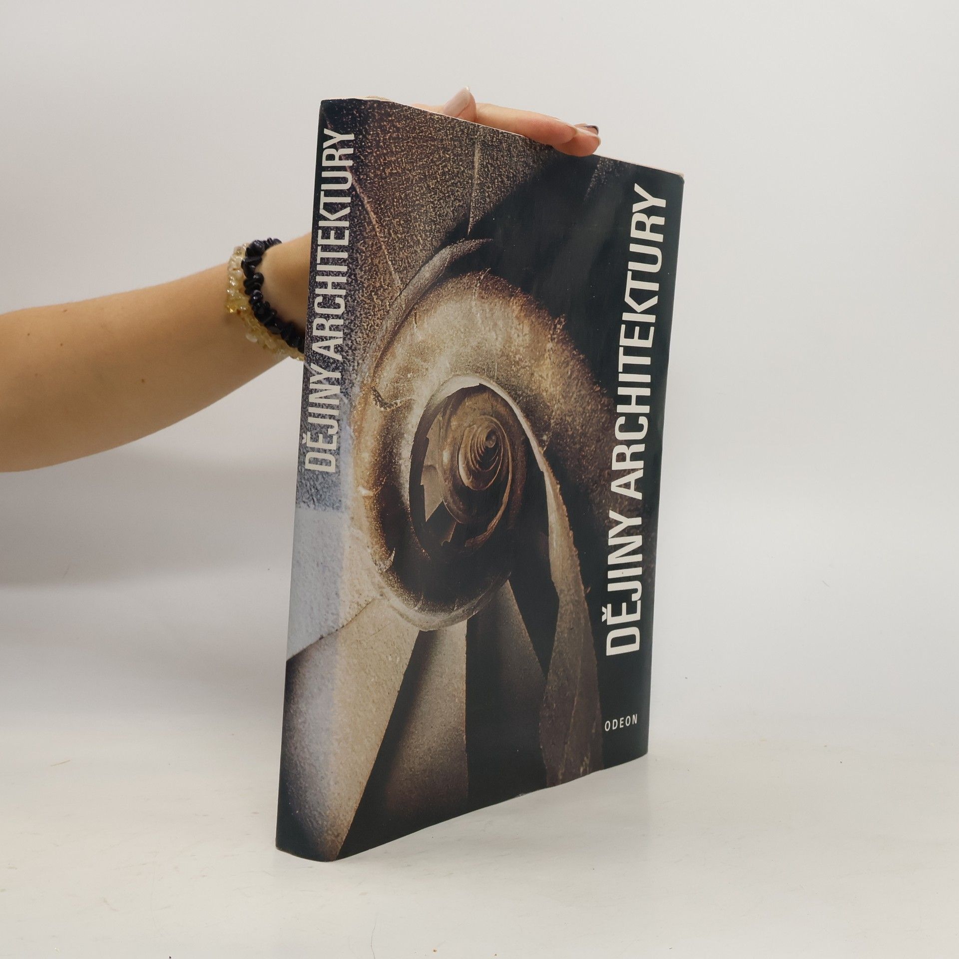 Autorenkollektiv Dějiny architektury