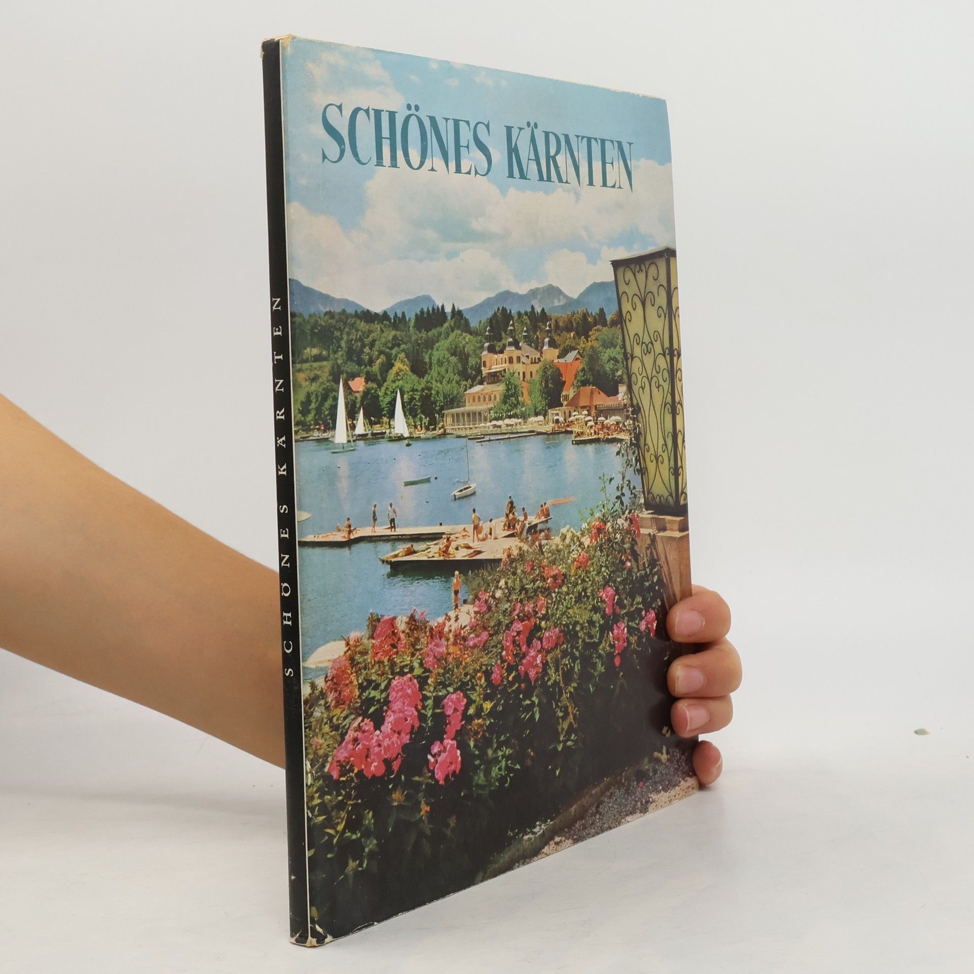 Collectif d'auteurs Schönes Kärnten