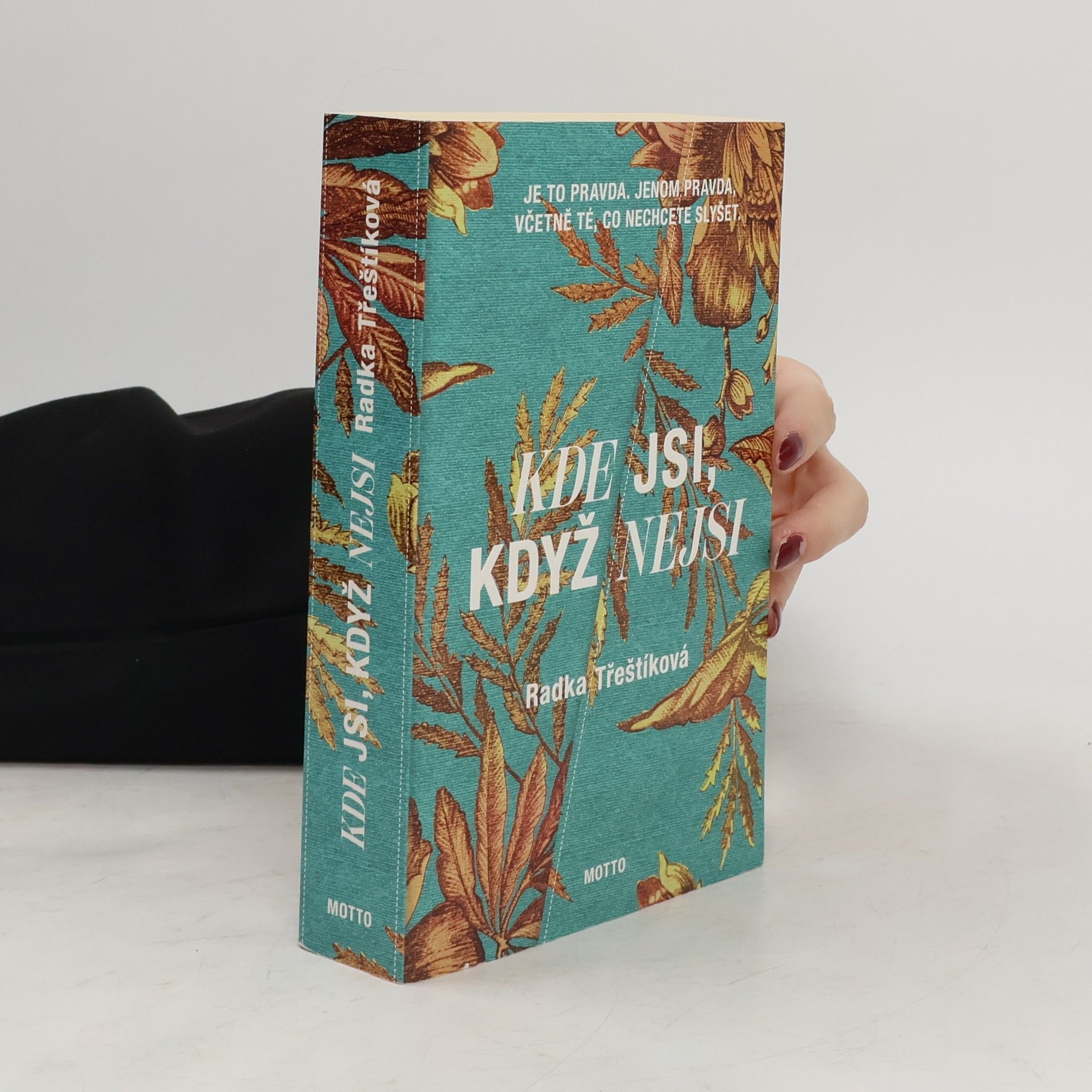 Radka Třeštíková Kde jsi, když nejsi