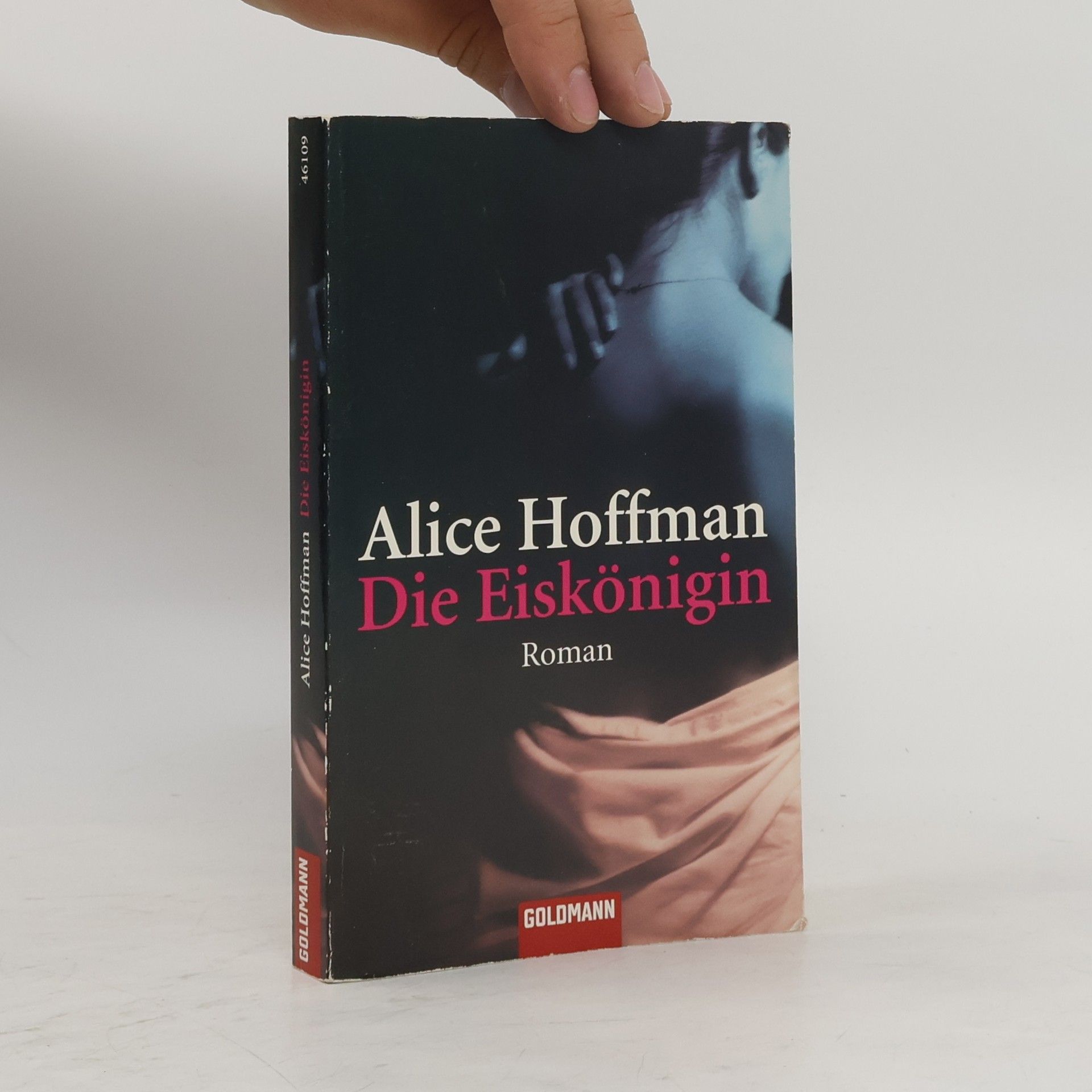 Alice Hoffman Die Eiskönigin