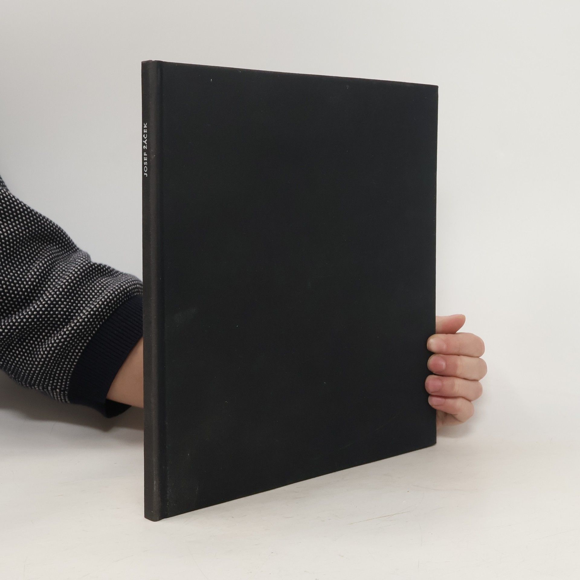 Kolektiv autorů Josef Žáček 90. léta