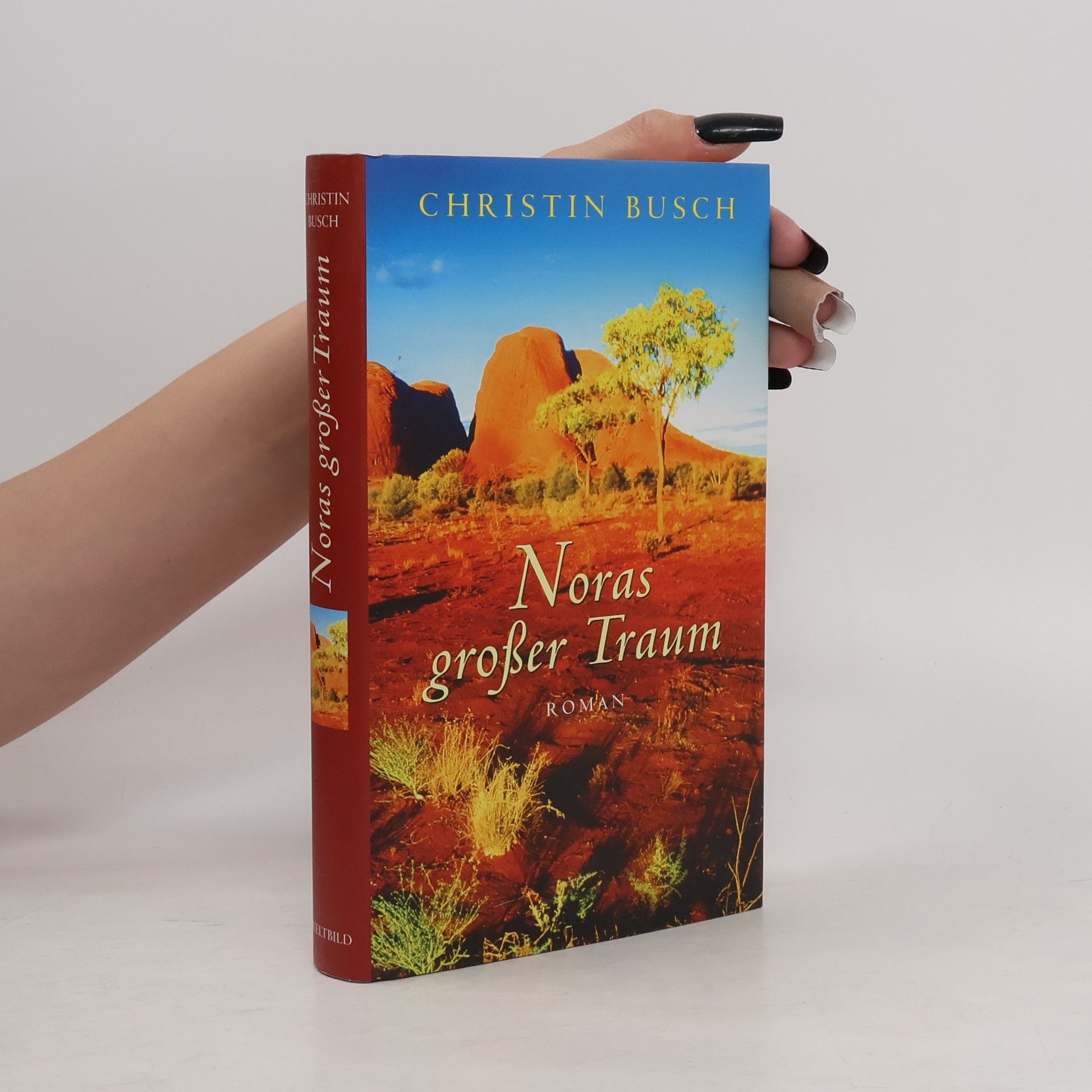 Christin Busch Noras großer Traum