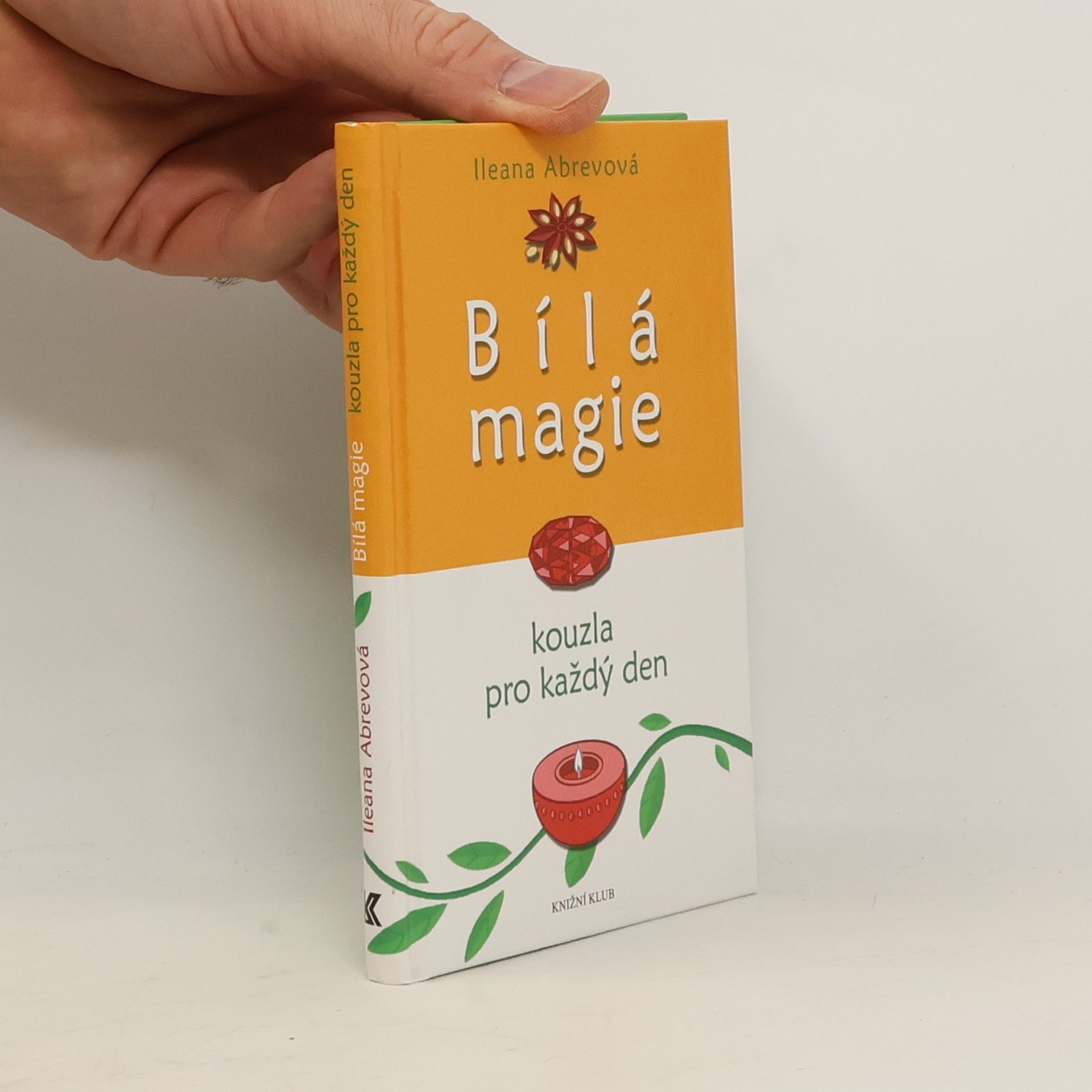 Bílá magie : kouzla pro každý den