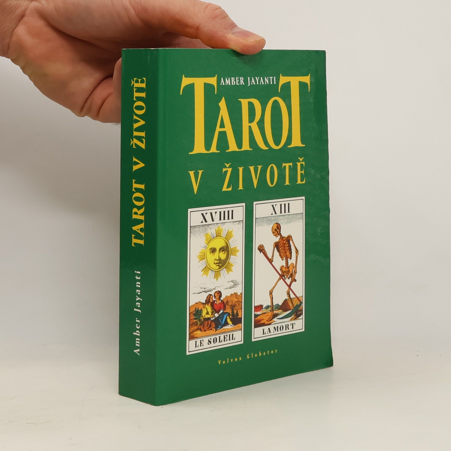 Amber Jayanti Tarot v životě