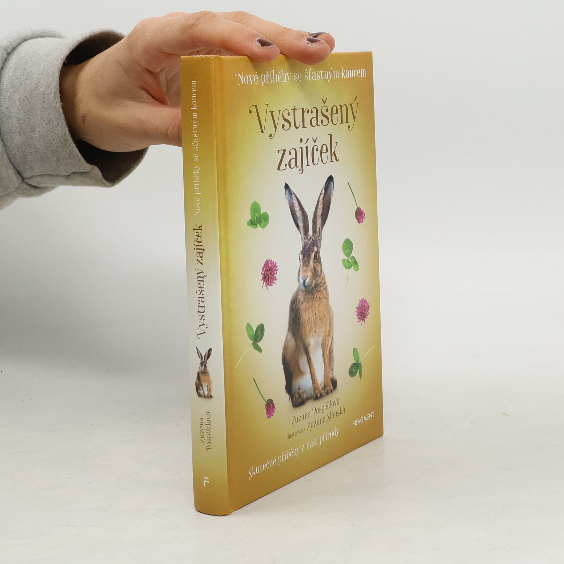 Vystrašený zajíček