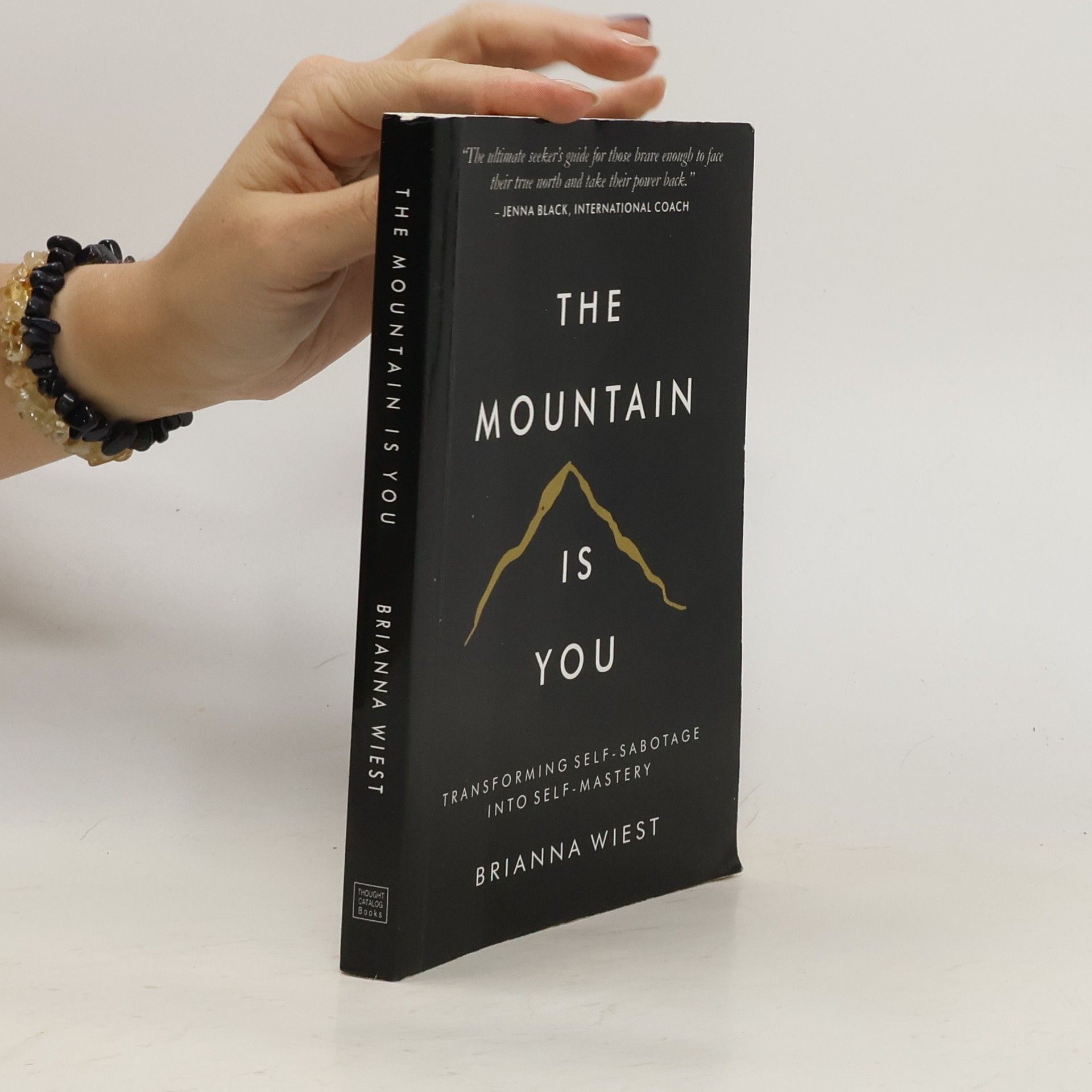 Brianna Wiest The Mountain Is You