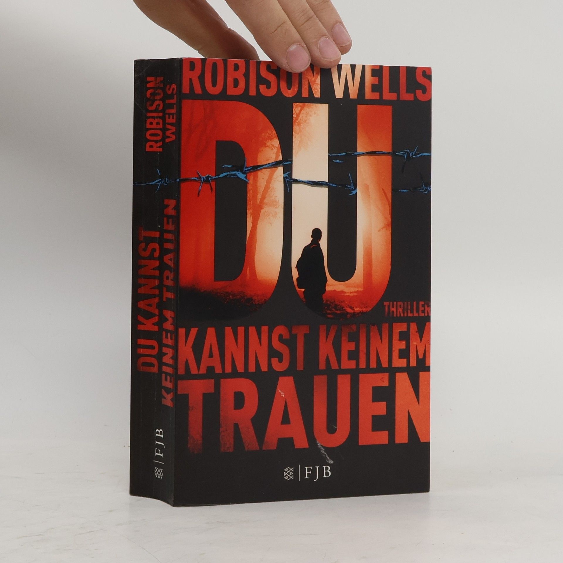 Robison E. Wells Du kannst keinem trauen