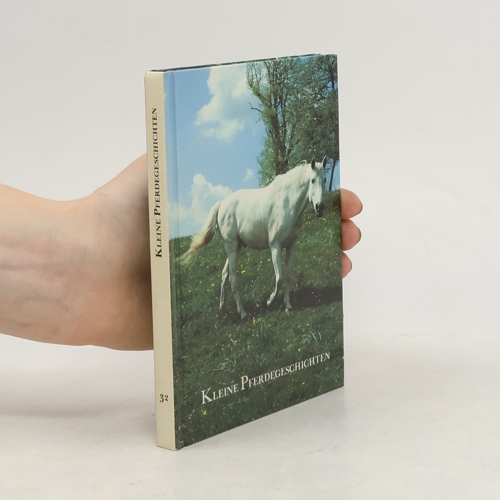Collectif d'auteurs Kleine Pferdegeschichten