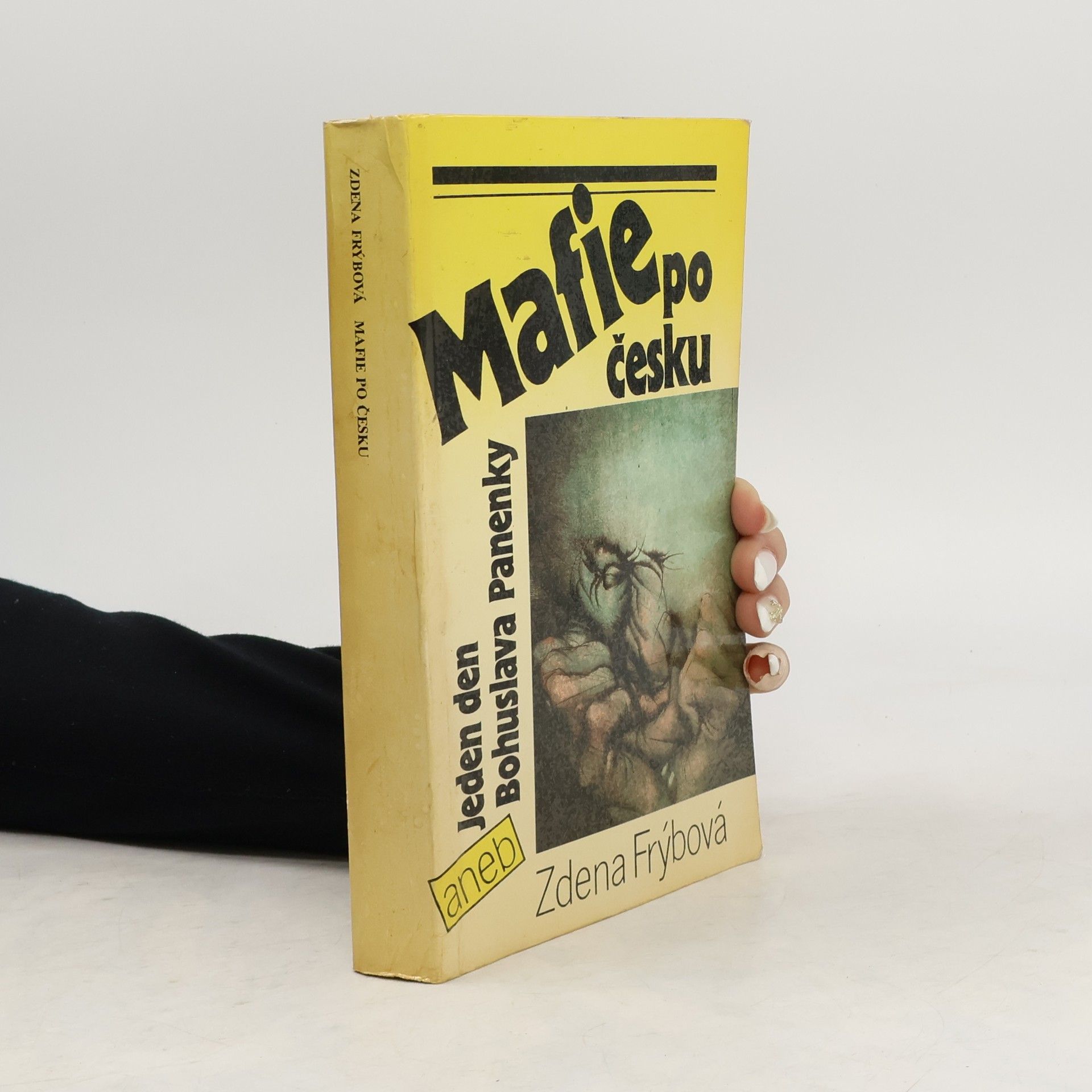 Zdena Frýbová Mafie po česku