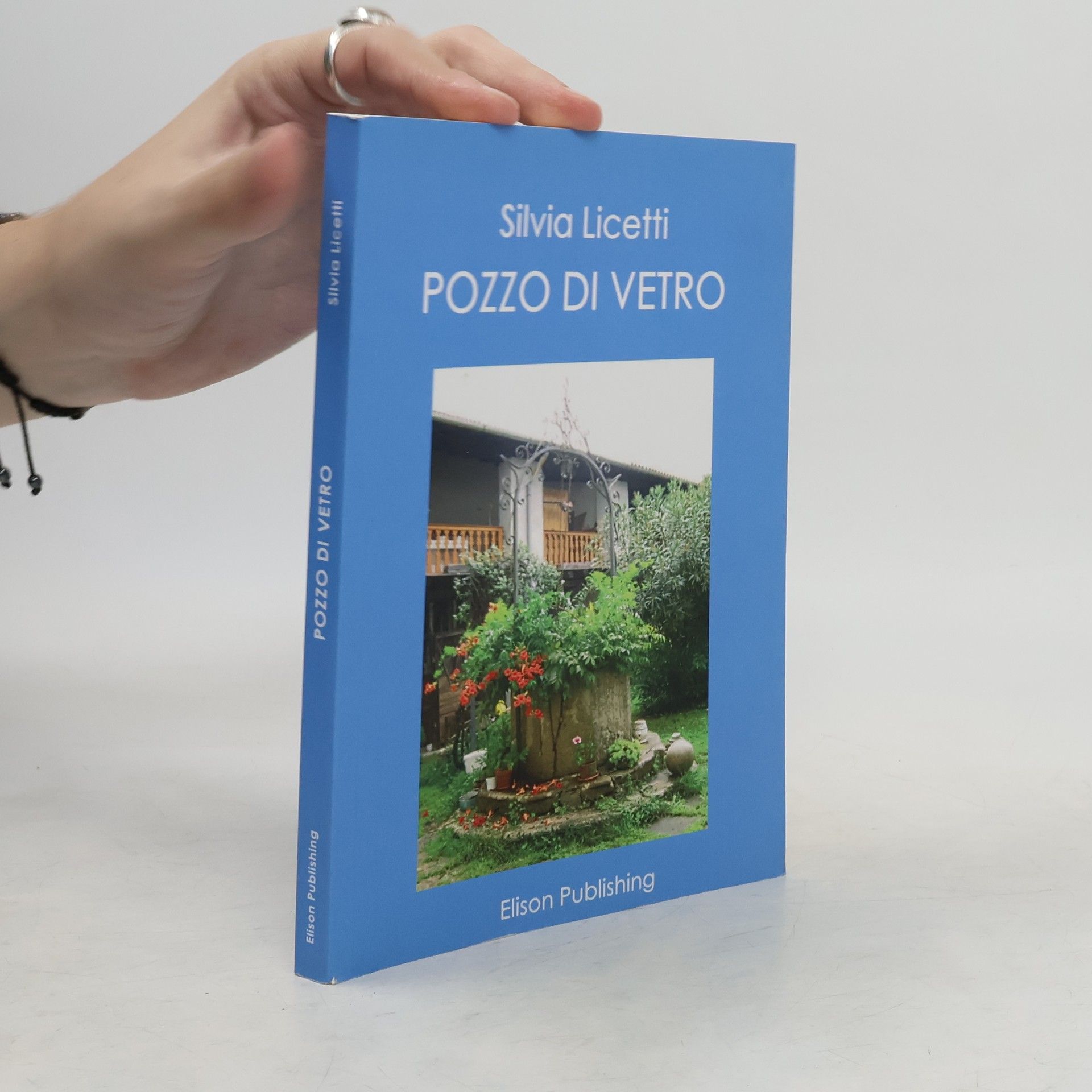 Silvia Licetti Pozzo di vetro